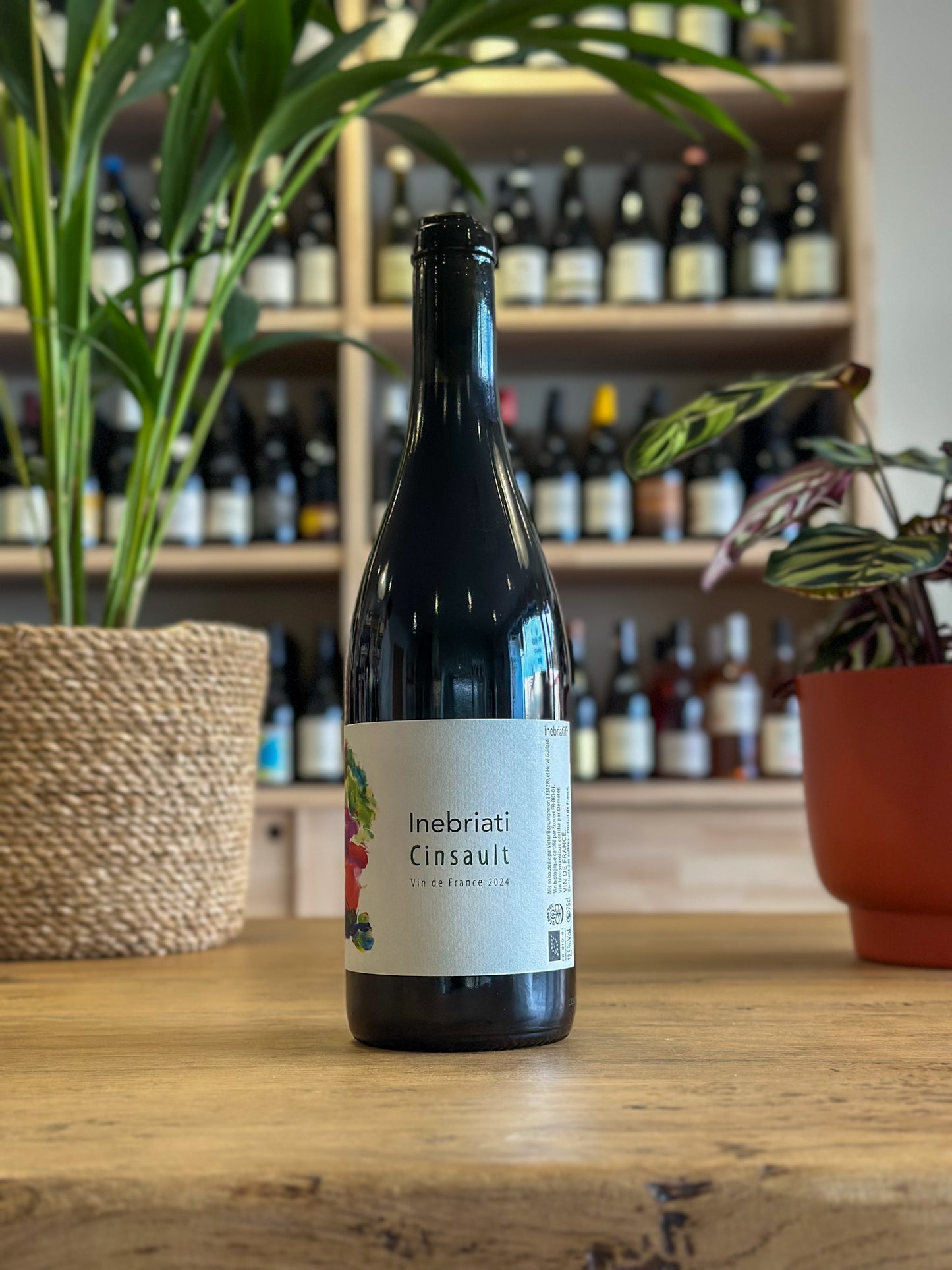 Vin de France - Domaine Inebriati - Cinsault 2024