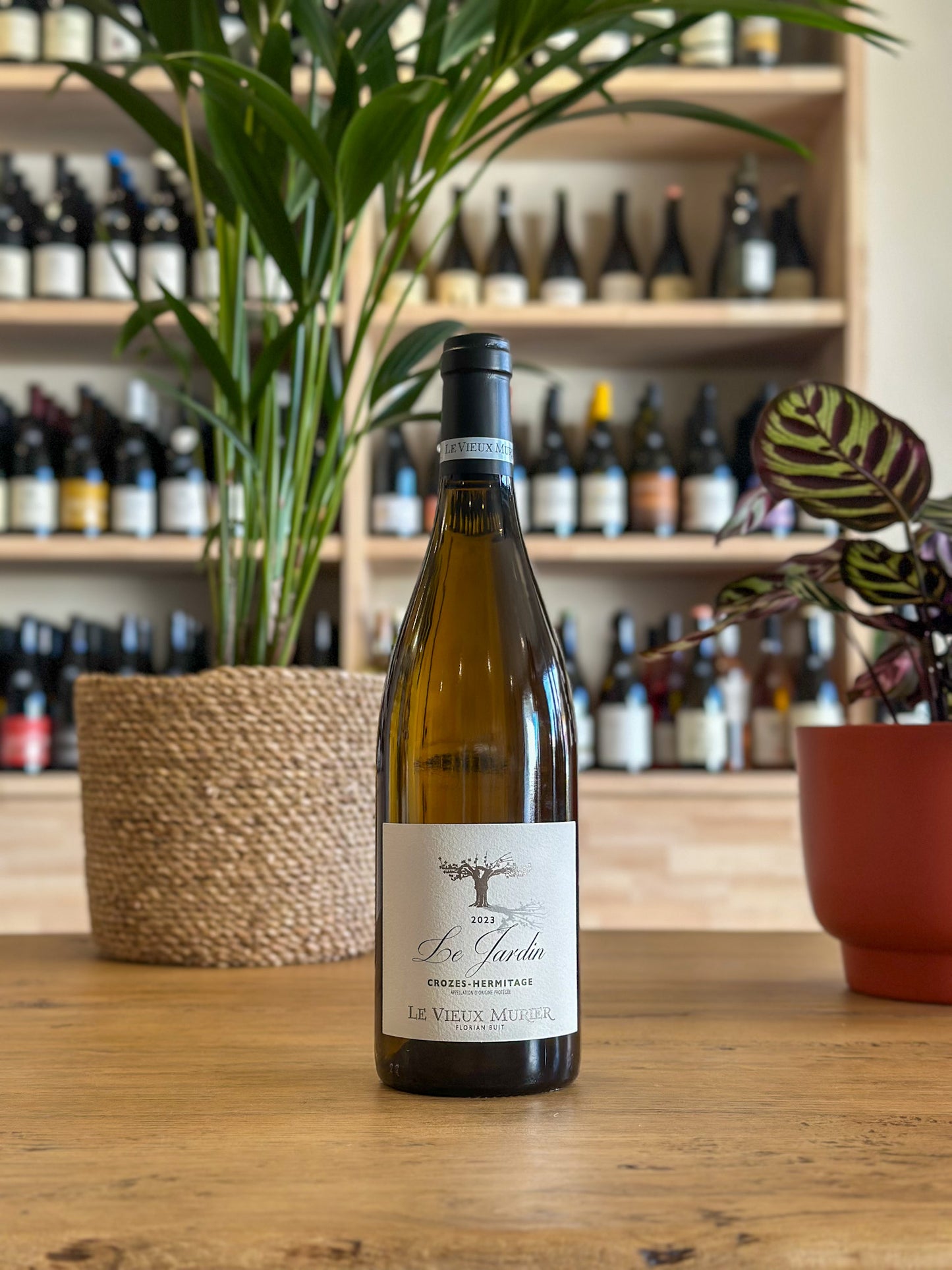 Crozes-Hermitage - Le Vieux Murier - Le Jardin 2023