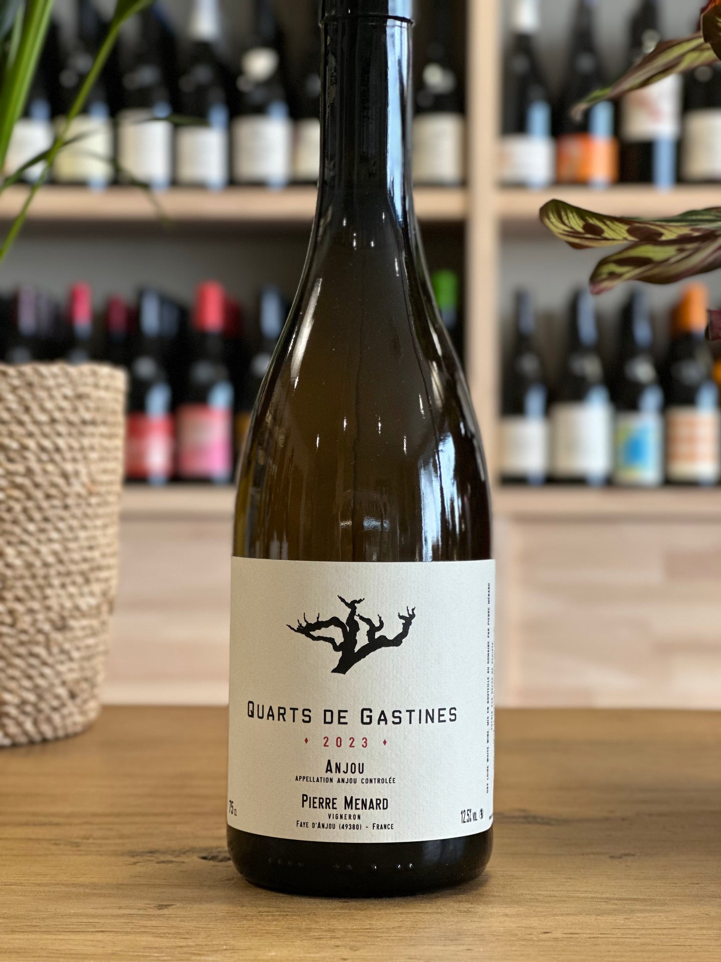 Anjou - Domaine Pierre Ménard - Quarts de Gastines 2023