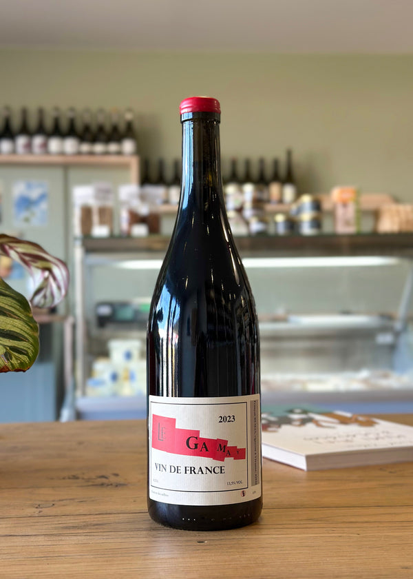 Vin de France - Domaine François Dumas - Gamay 2023