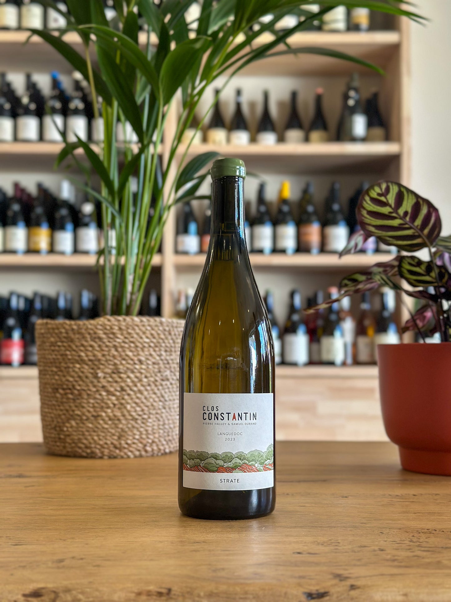 Languedoc - Clos Constantin- Strate 2023