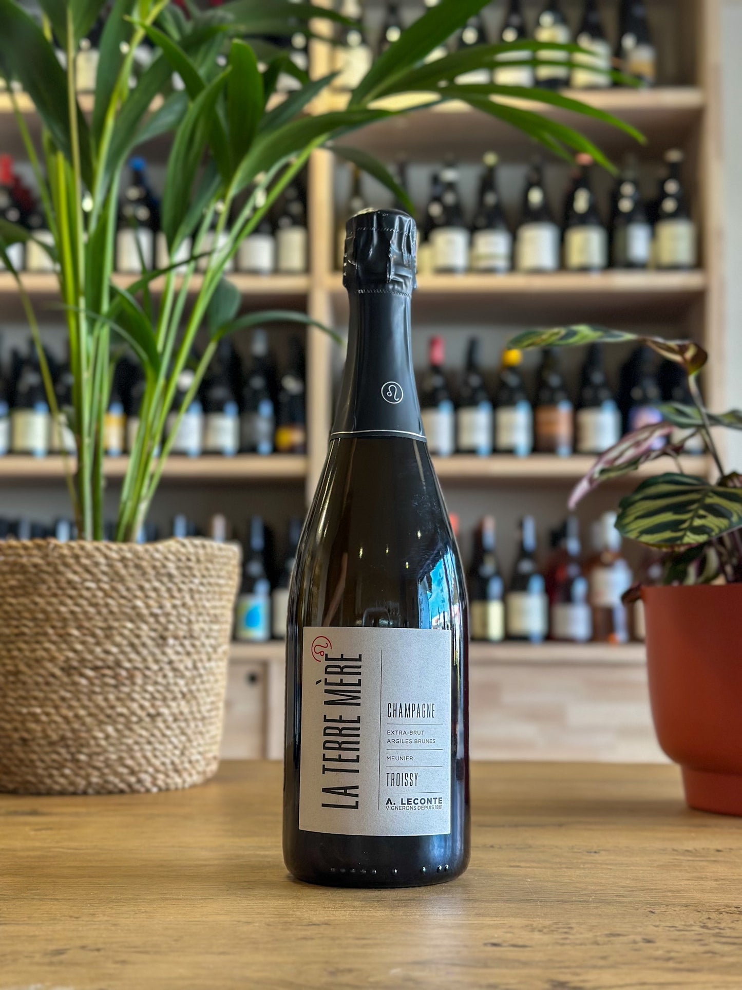 Champagne - Alexis Leconte - La Terre Mère - Blanc de Noirs - Extra-Brut