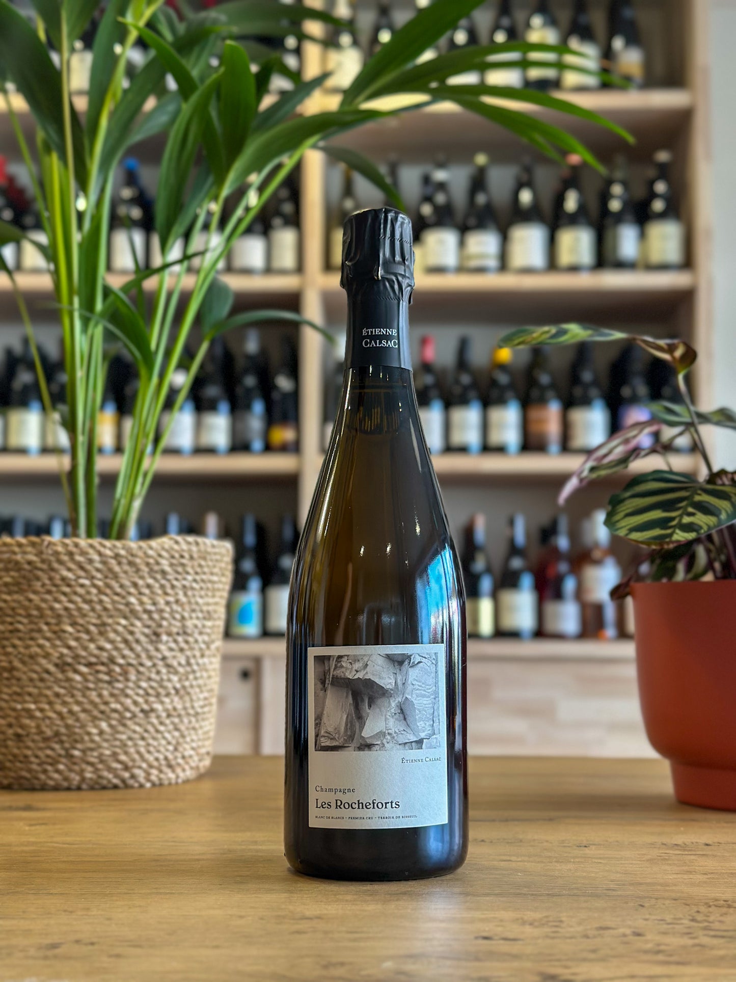 Champagne 1er Cru - Étienne Calsac - Les Rocheforts - Blanc de Blancs - Extra-Brut