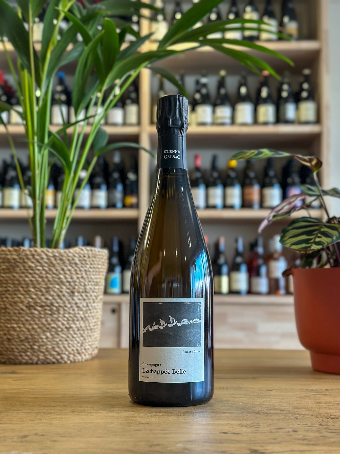 Champagne - Étienne Calsac - L'Échappée Belle - Blanc de Blancs - Extra-Brut