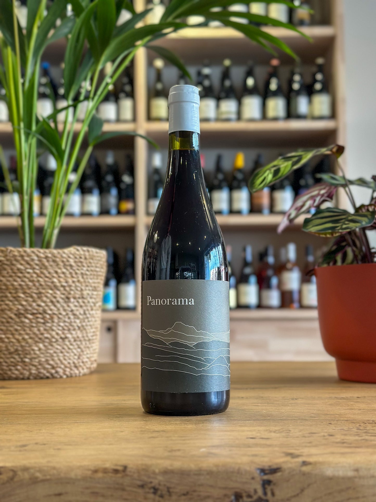 Haute Vallée de l'Aude - Domaine Les Hautes Terres - Panorama rouge 2024