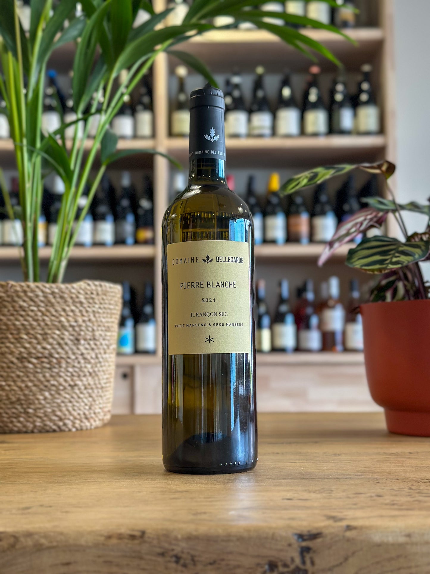 Jurançon sec - Domaine Bellegarde - Pierre Blanche 2024