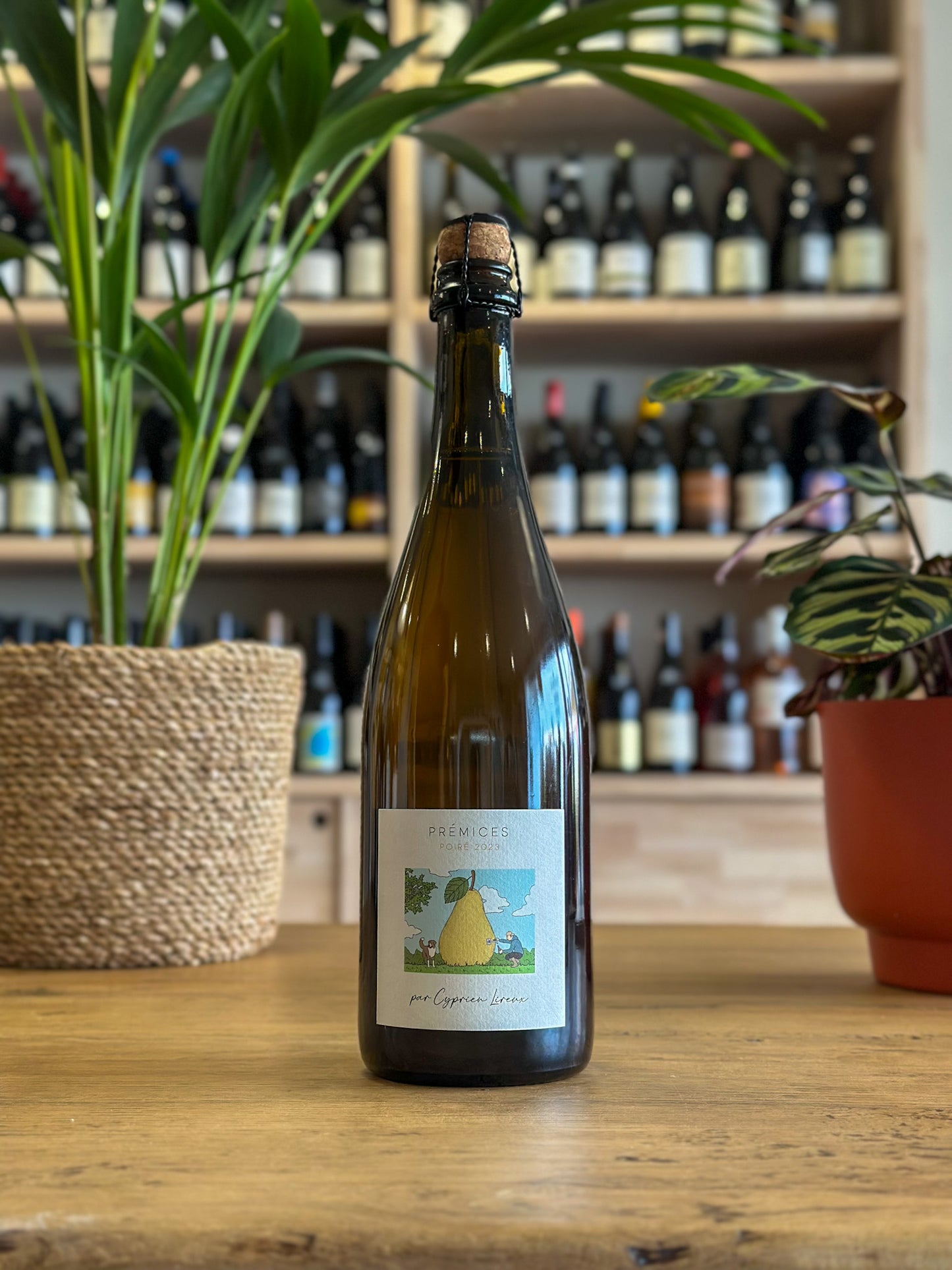 Poiré - Prémices 2023 - Cyprien Lireux