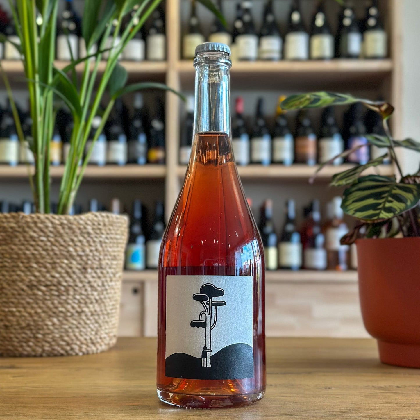 (R)Osez ! 2023 - Le Vindicateur - Vin de France