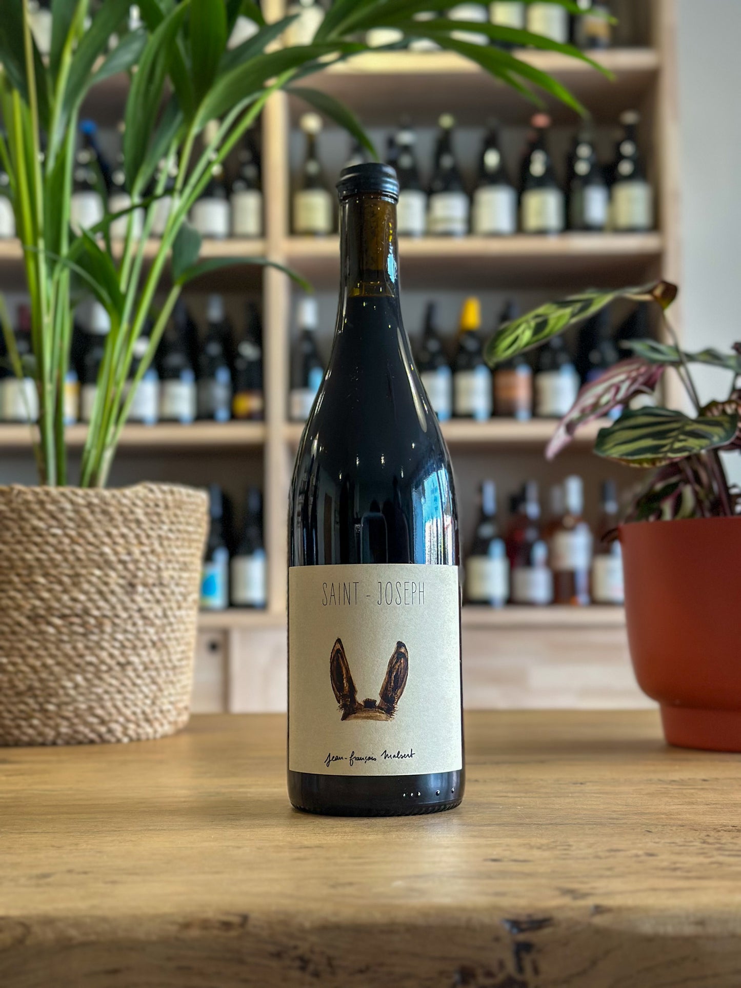 Saint-Joseph - Domaine de L'Iserand 2023