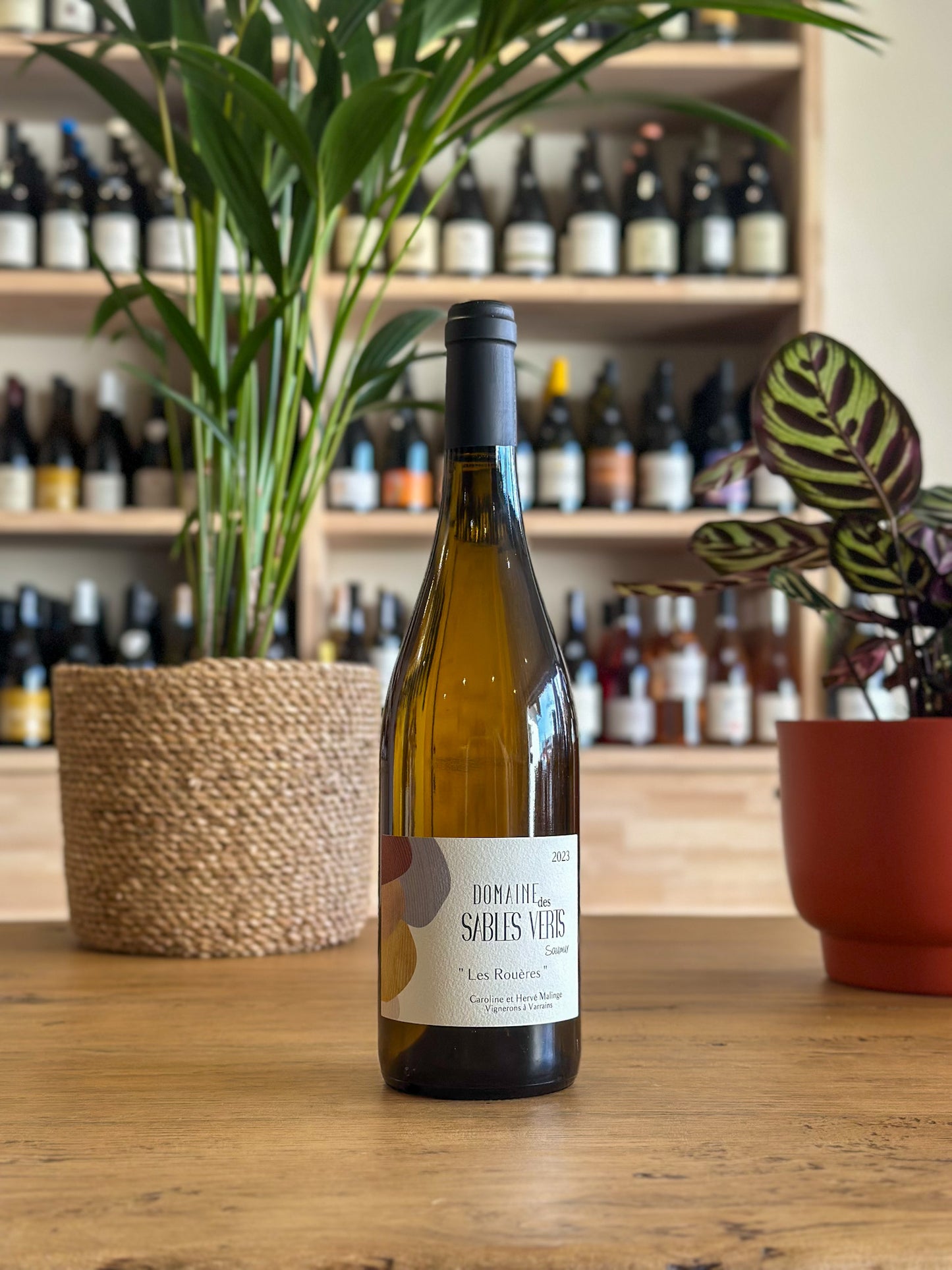 Saumur - Domaine des Sables Verts - Les Rouères 2023