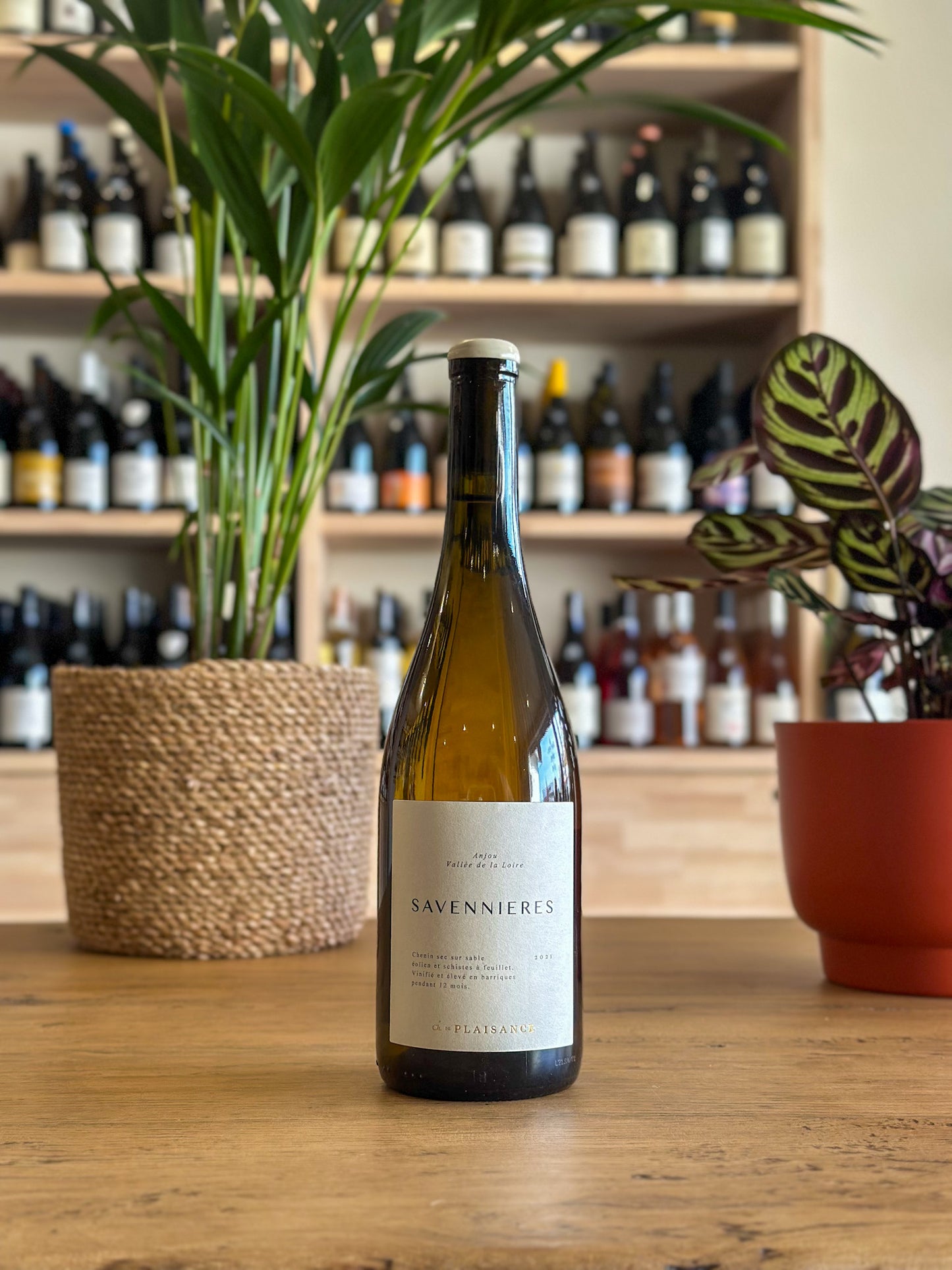 Savennières - Château de Plaisance 2021