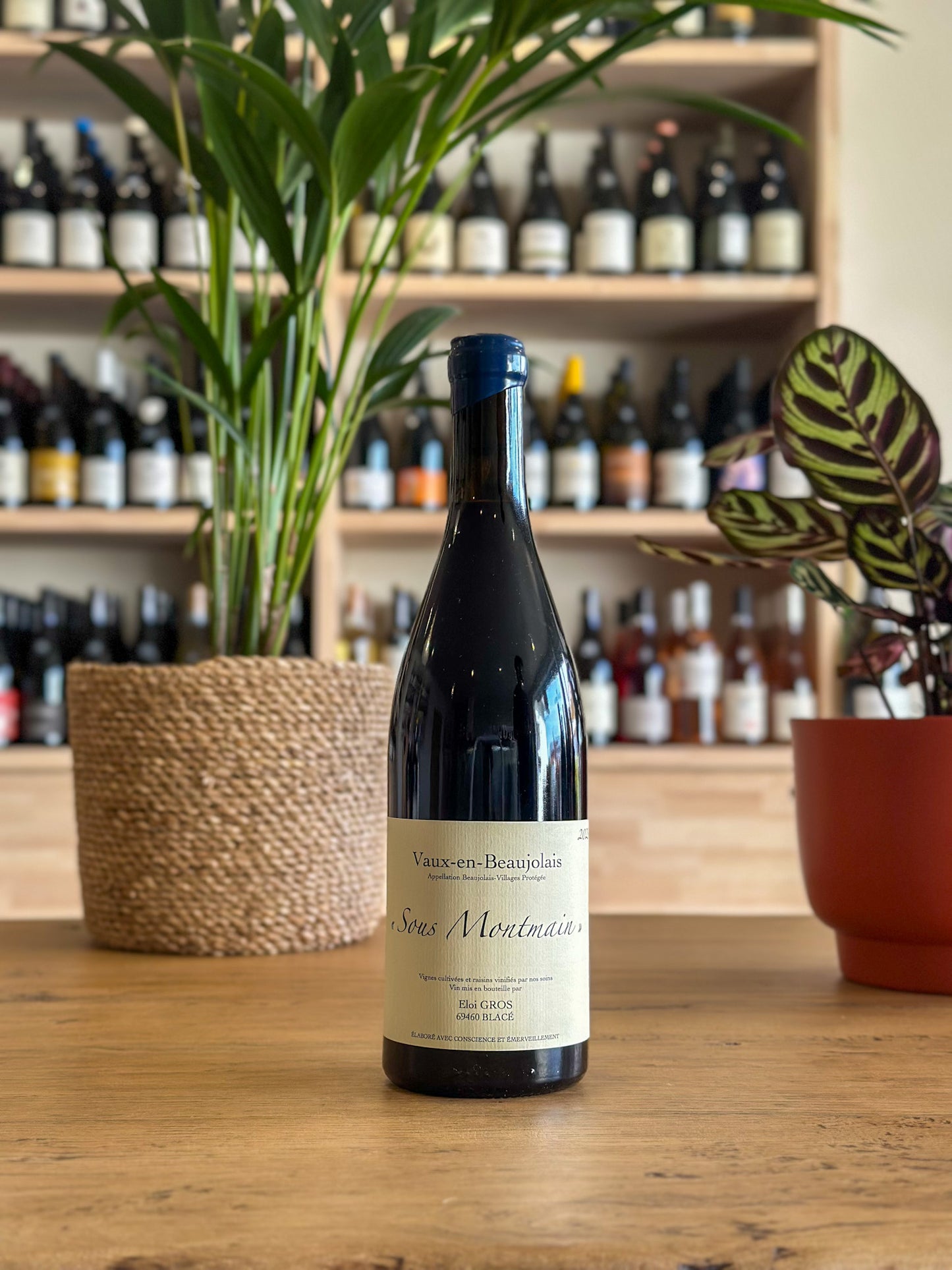 Beaujolais-Villages - Domaine Éloi Gros - Sous Montmain 2023