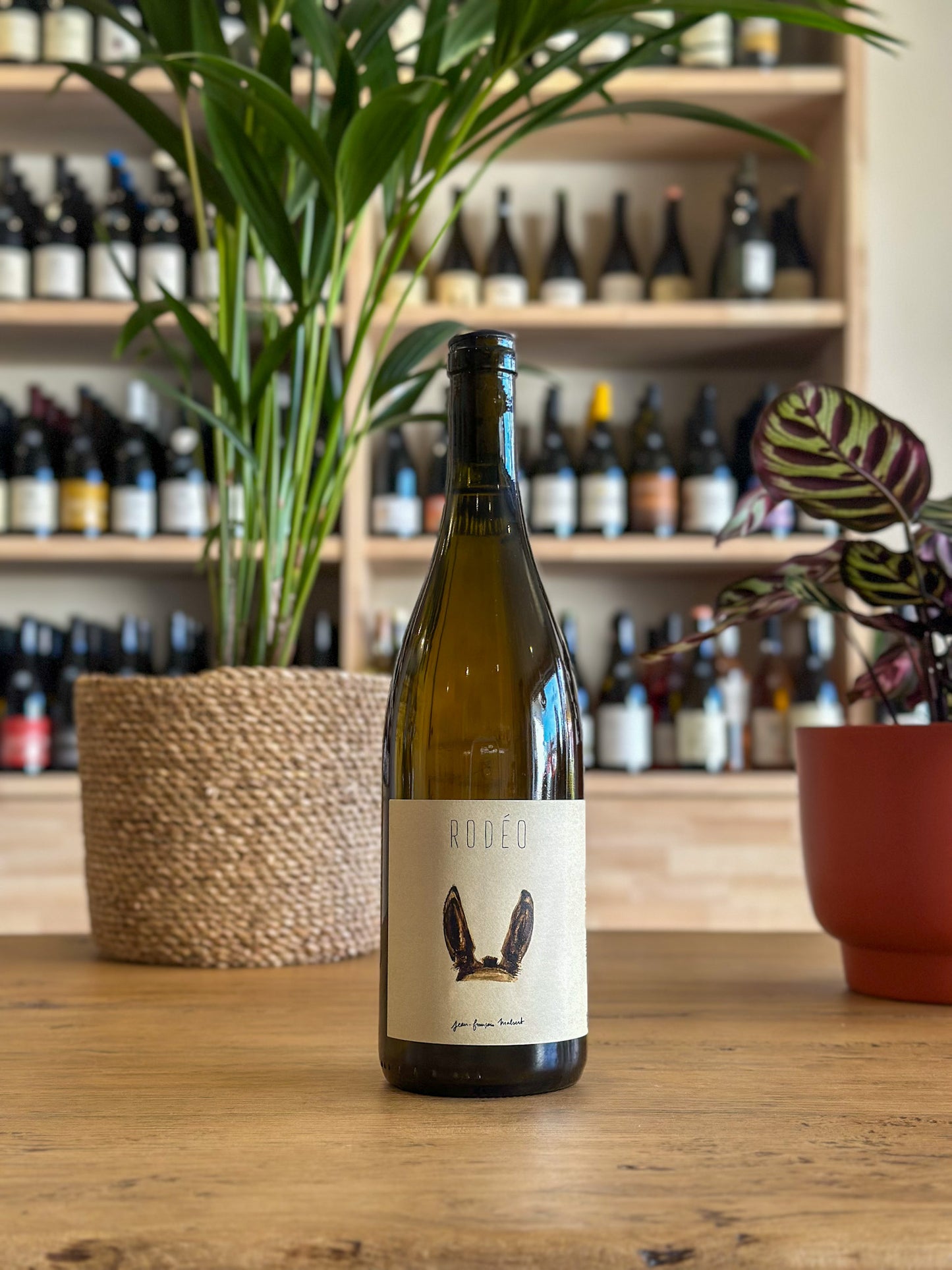 Saint-Joseph - Domaine de L'Iserand - Rodéo 2023