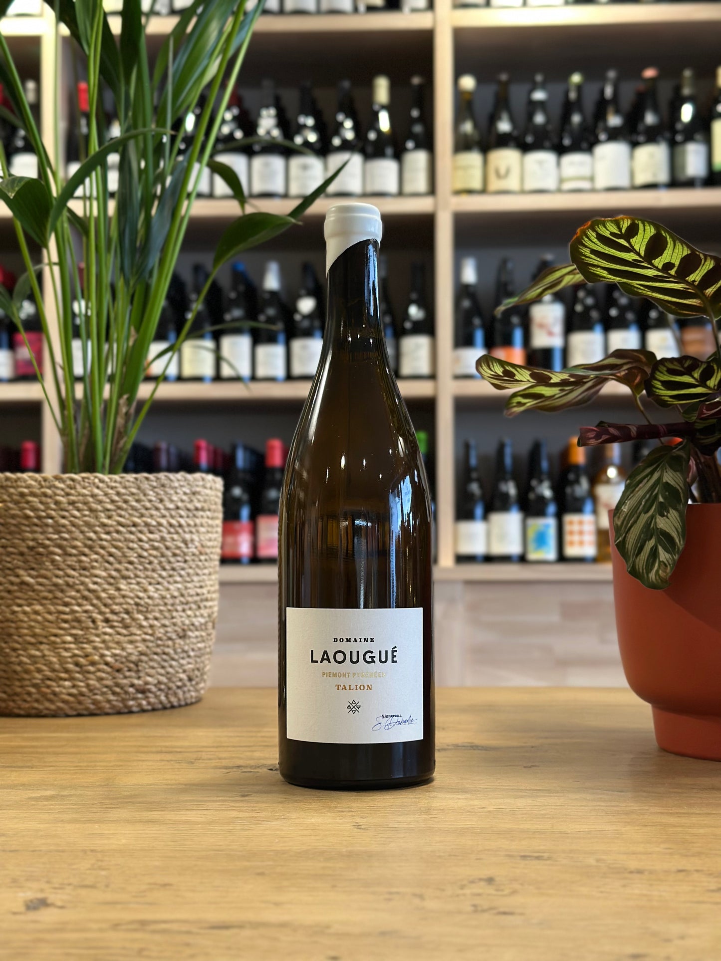 Pacherenc du Vic Bilh sec - Domaine Laougué - Talion 2020