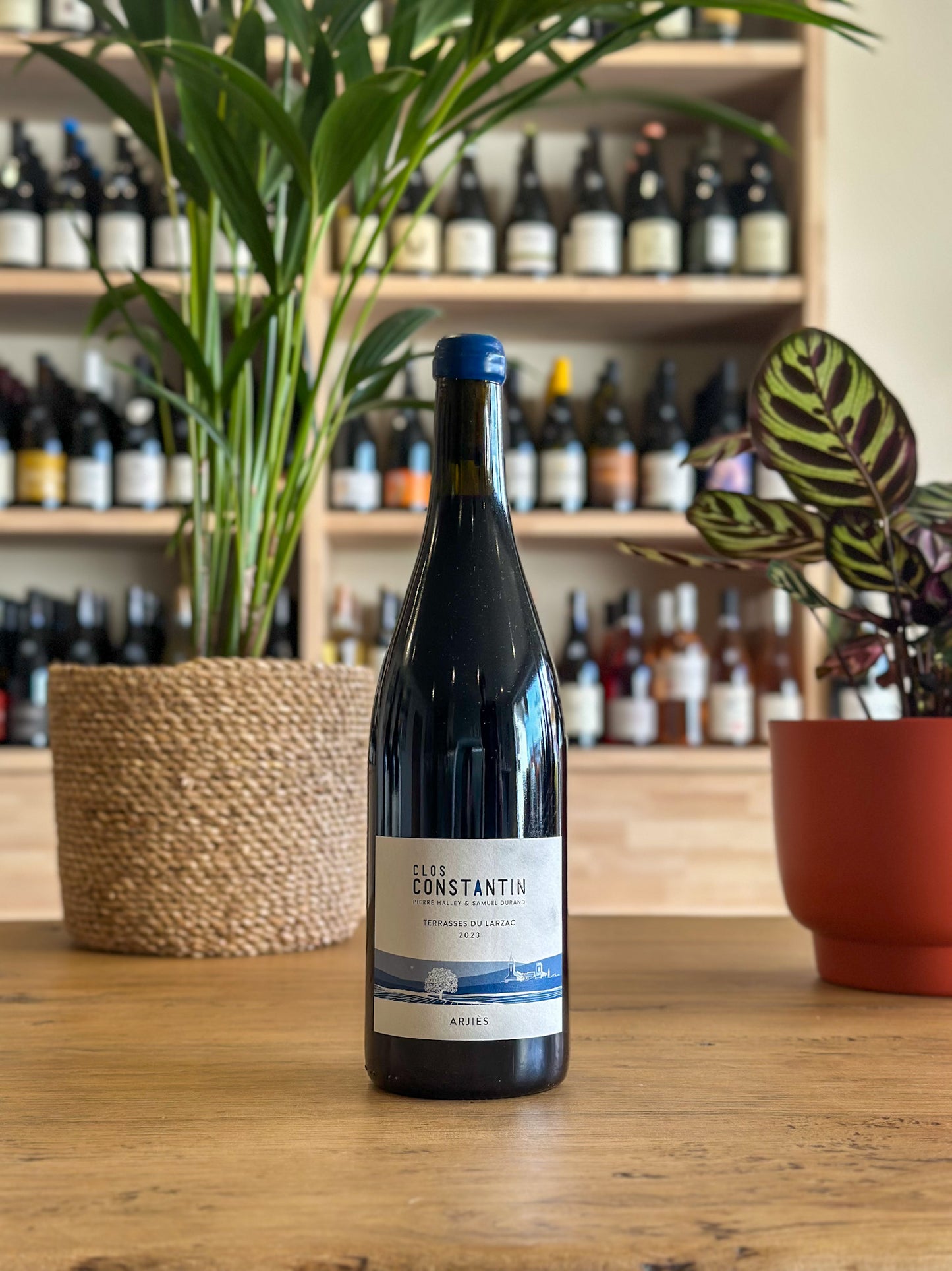 Terrasses du Larzac - Clos Constantin - Arjiès 2023