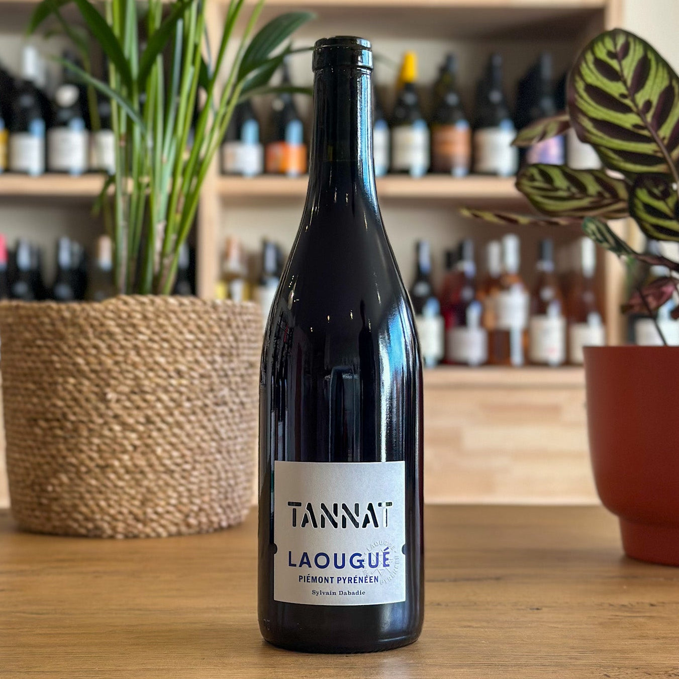 Magnum Tannat 2024 - Domaine Laougué - Vin de France