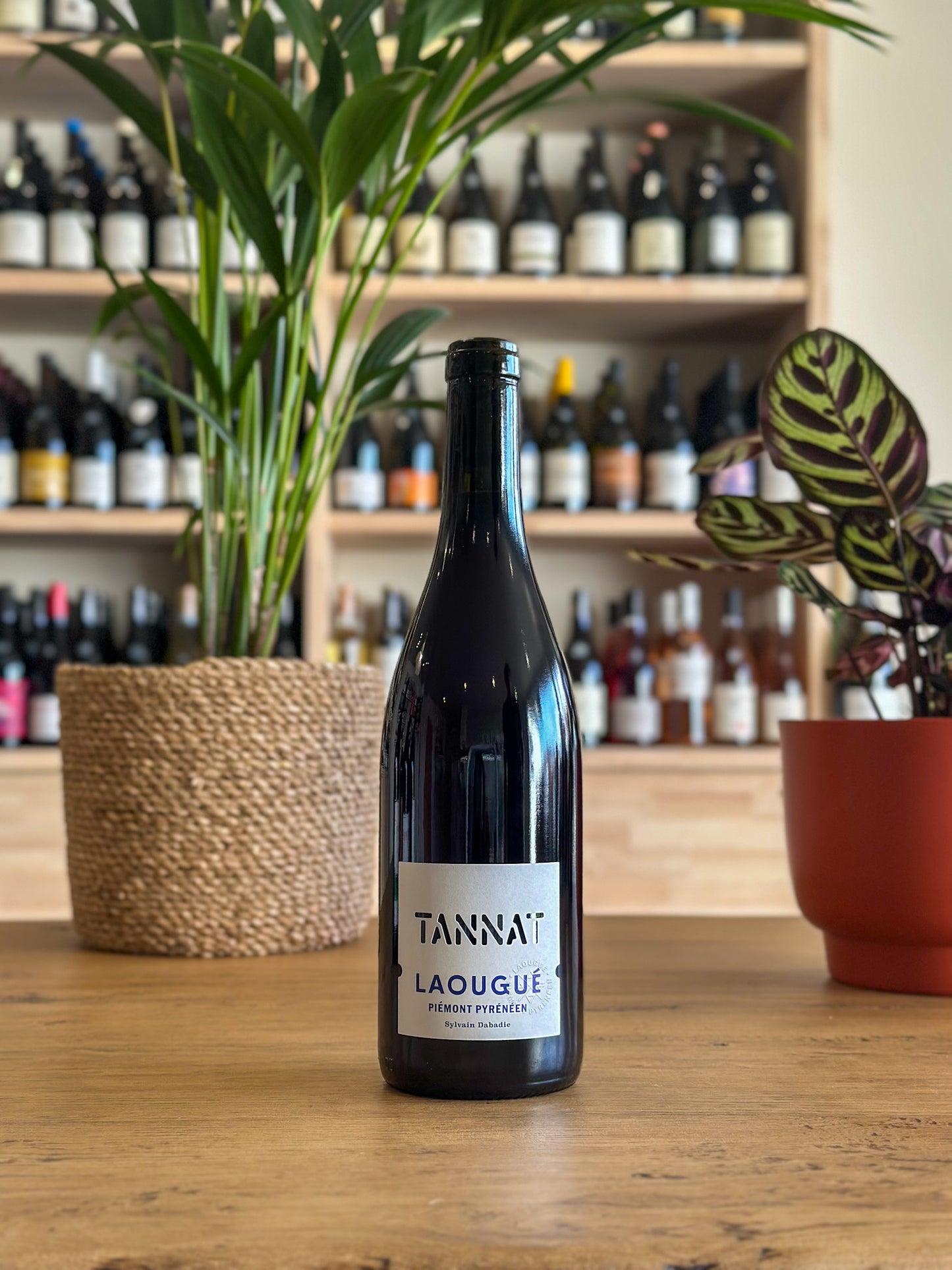 Vin de France - Domaine Laougué - Tannat 2024