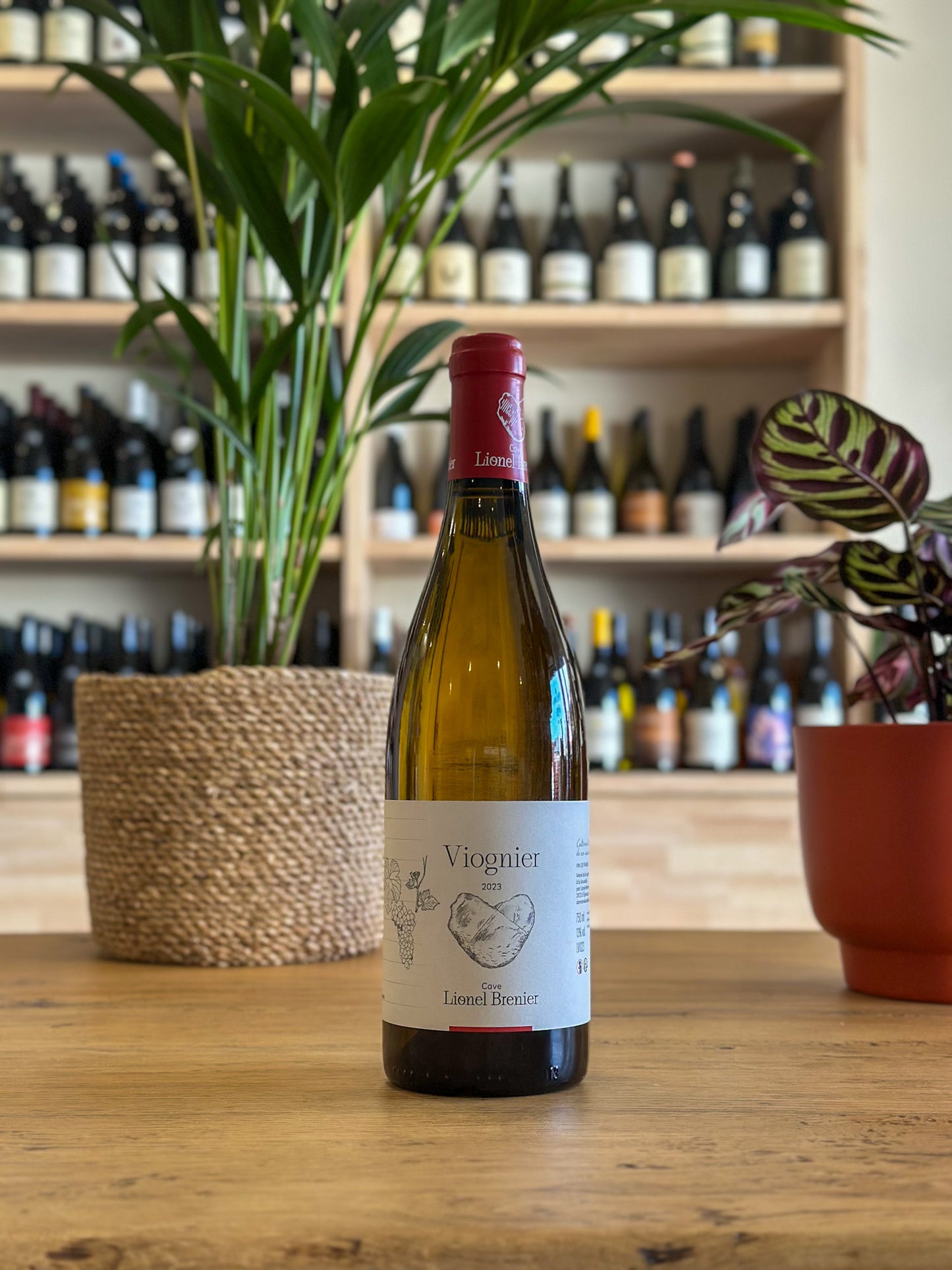 Vin de France - Domaine Lionel Brenier - Viognier 2023