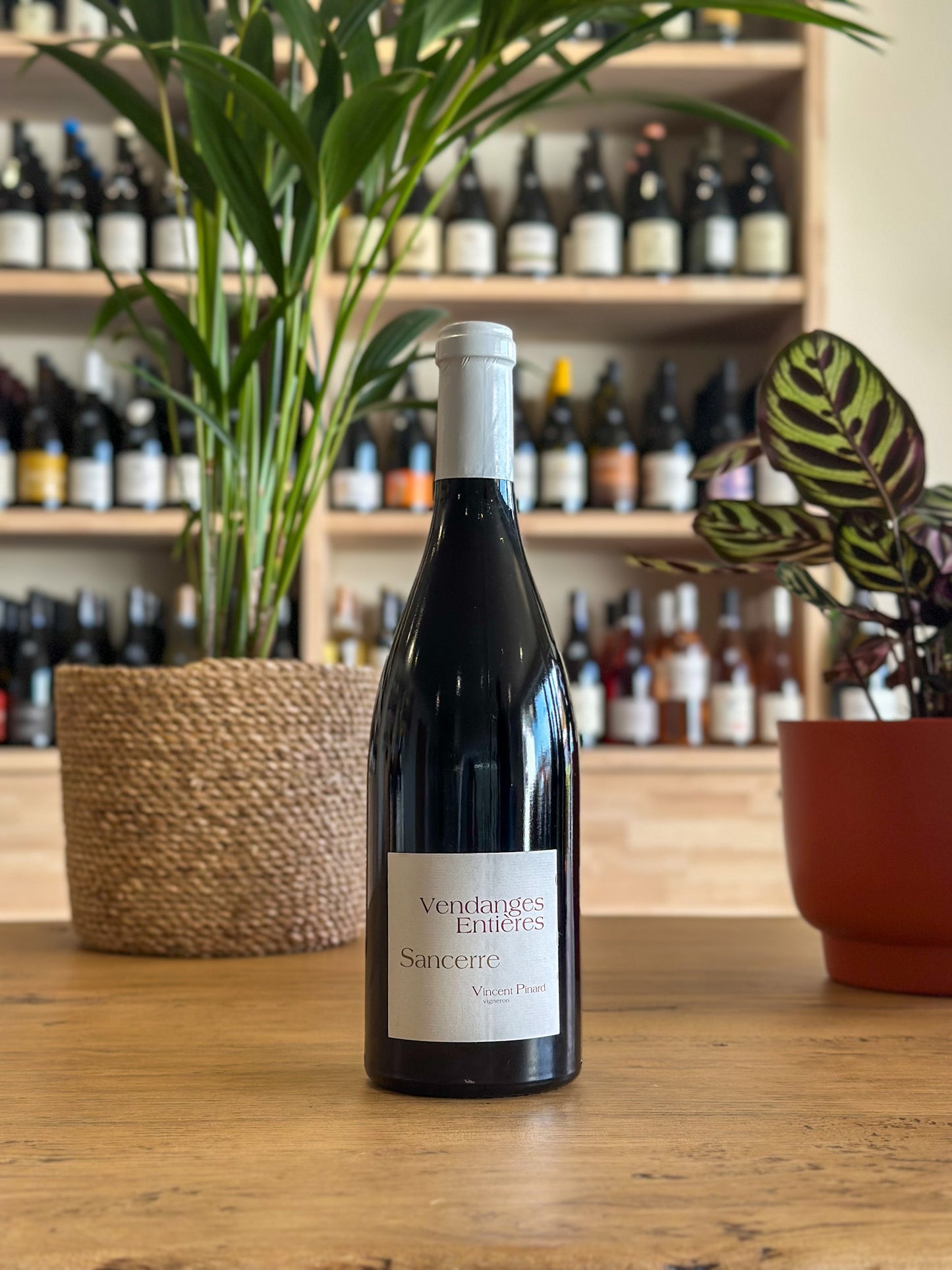 Sancerre - Domaine Vincent Pinard - Vendanges Entières 2020