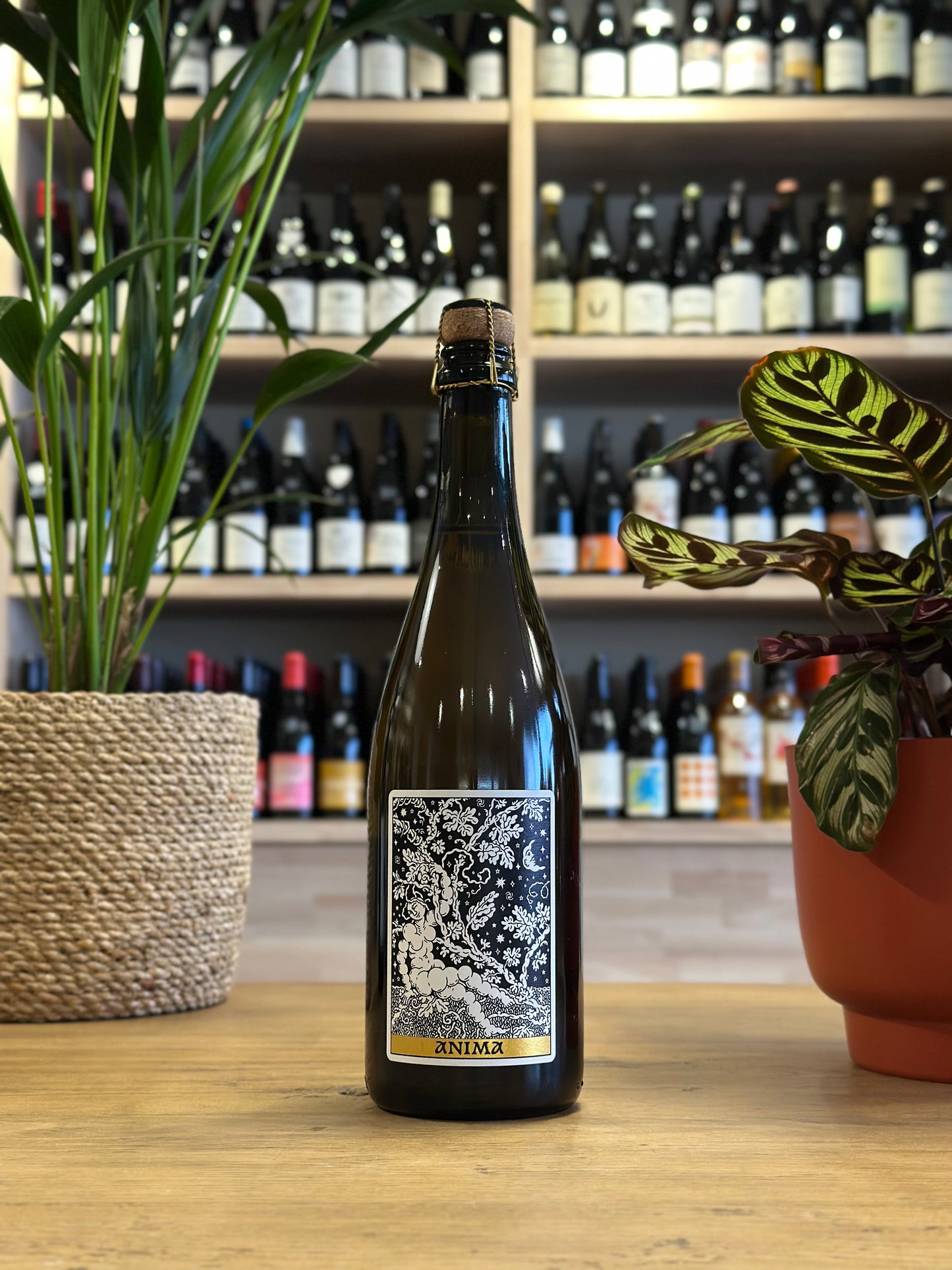 Pétillant Naturel - Domaine Frédéric Mabileau - Anima 2023