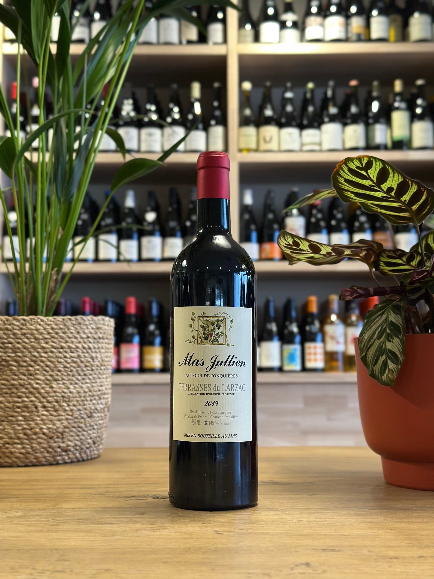 Terrasses du Larzac - Mas Jullien - Autour de Jonquières