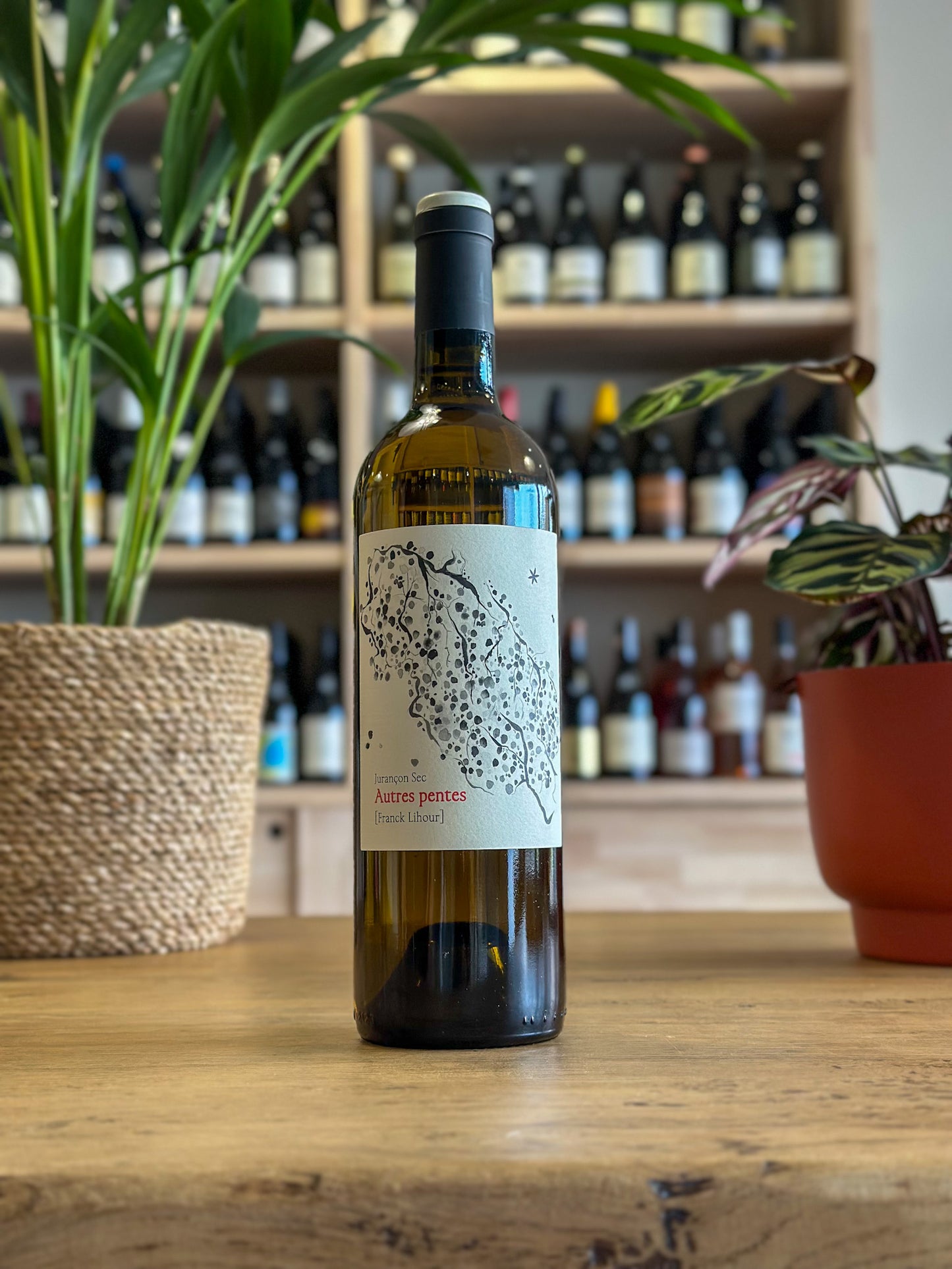 Jurançon sec - Domaine Castéra - Autres Pentes 2024