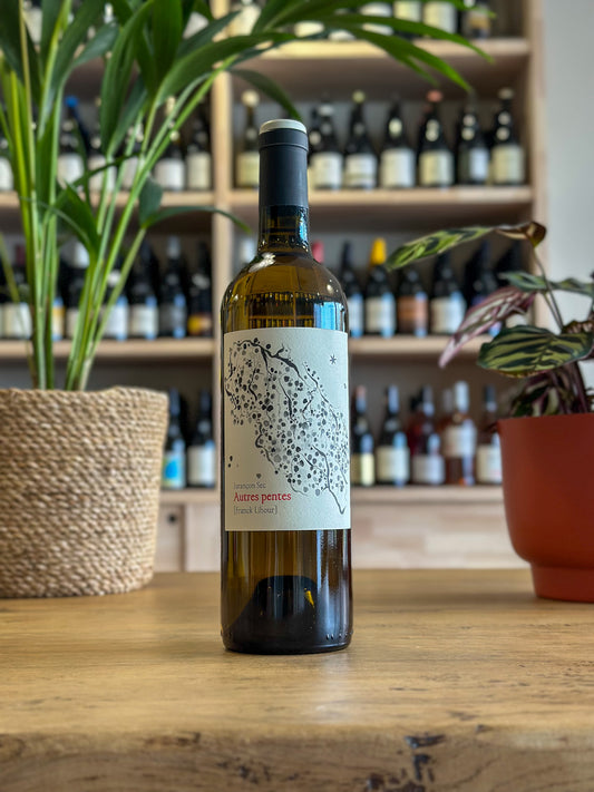 Jurançon sec - Domaine Castéra - Autres Pentes 2024