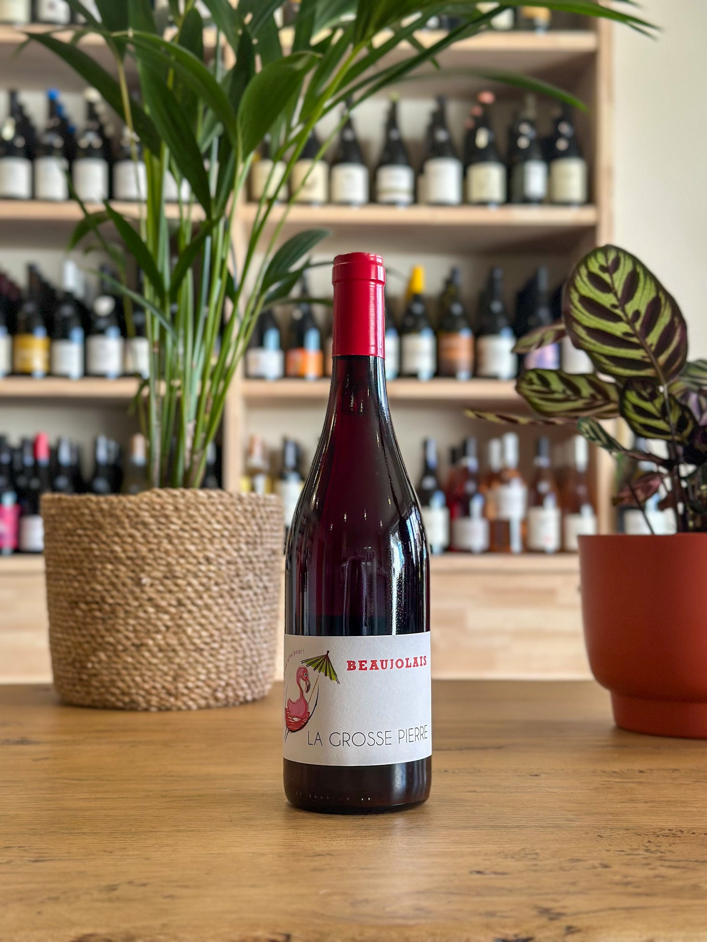 Beaujolais 2023 - Domaine de la Grosse Pierre