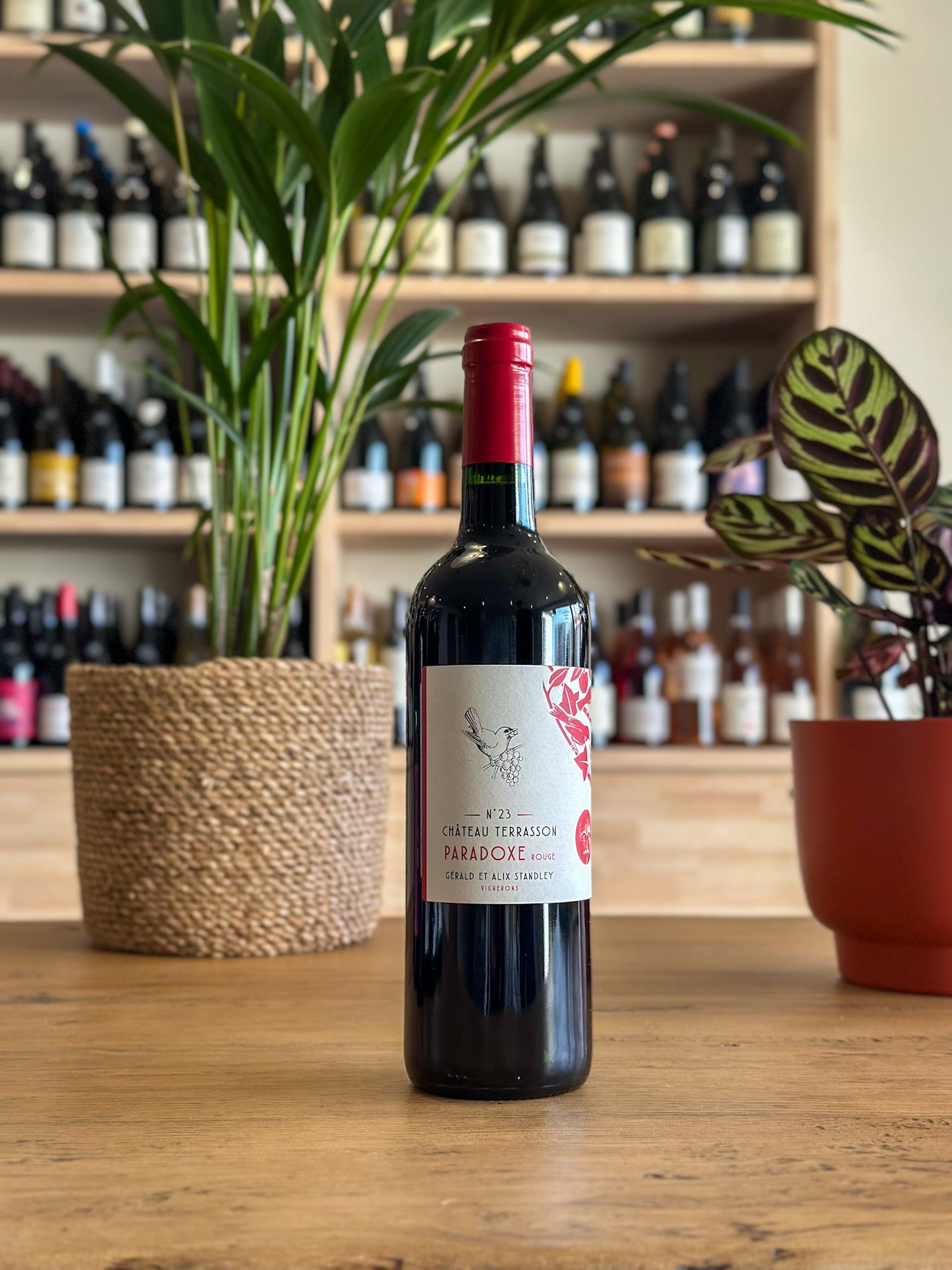 Côtes-de-Bordeaux - Château Terrasson - Paradoxe 2023