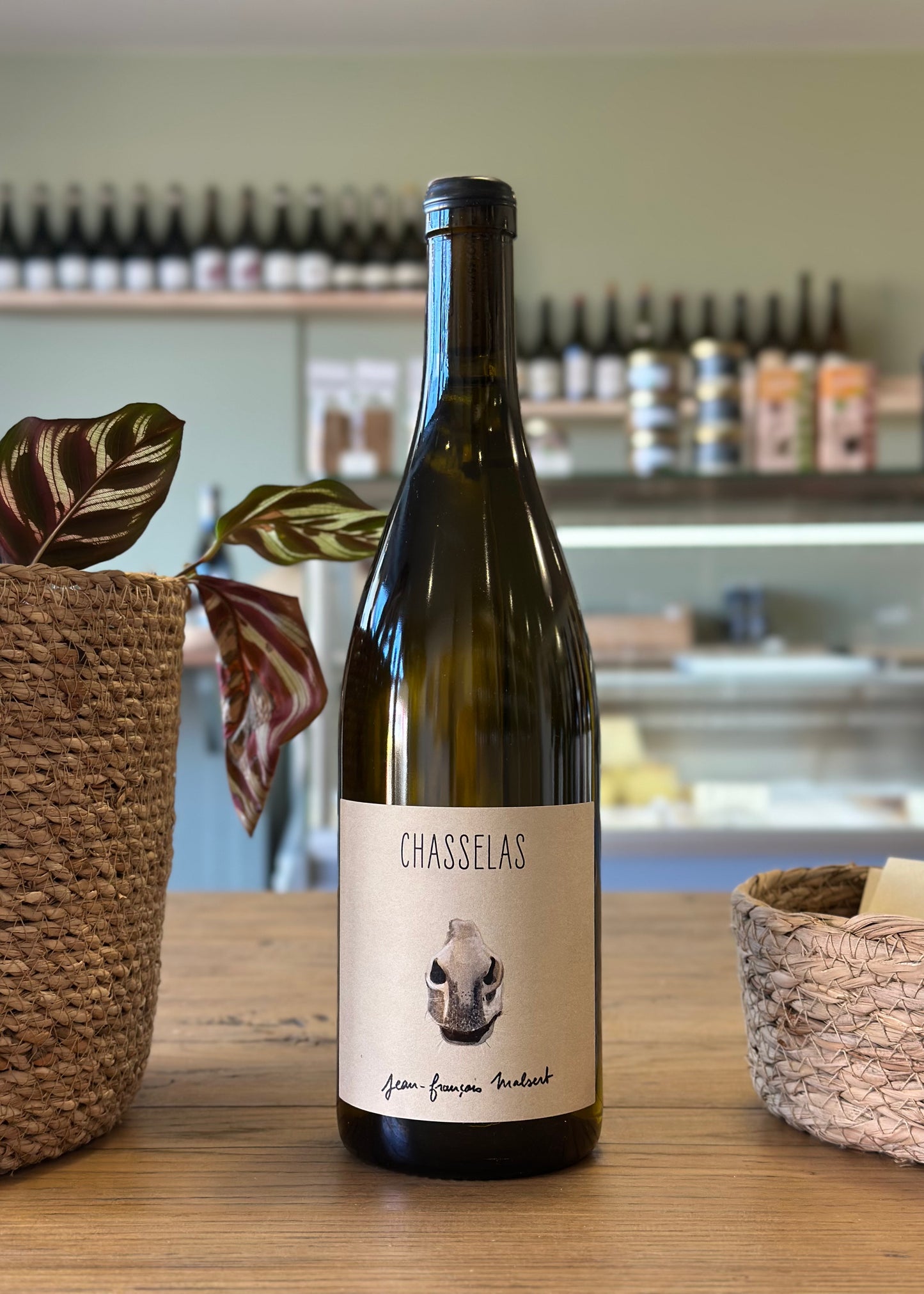 Vin de France "Chasselas" 2025