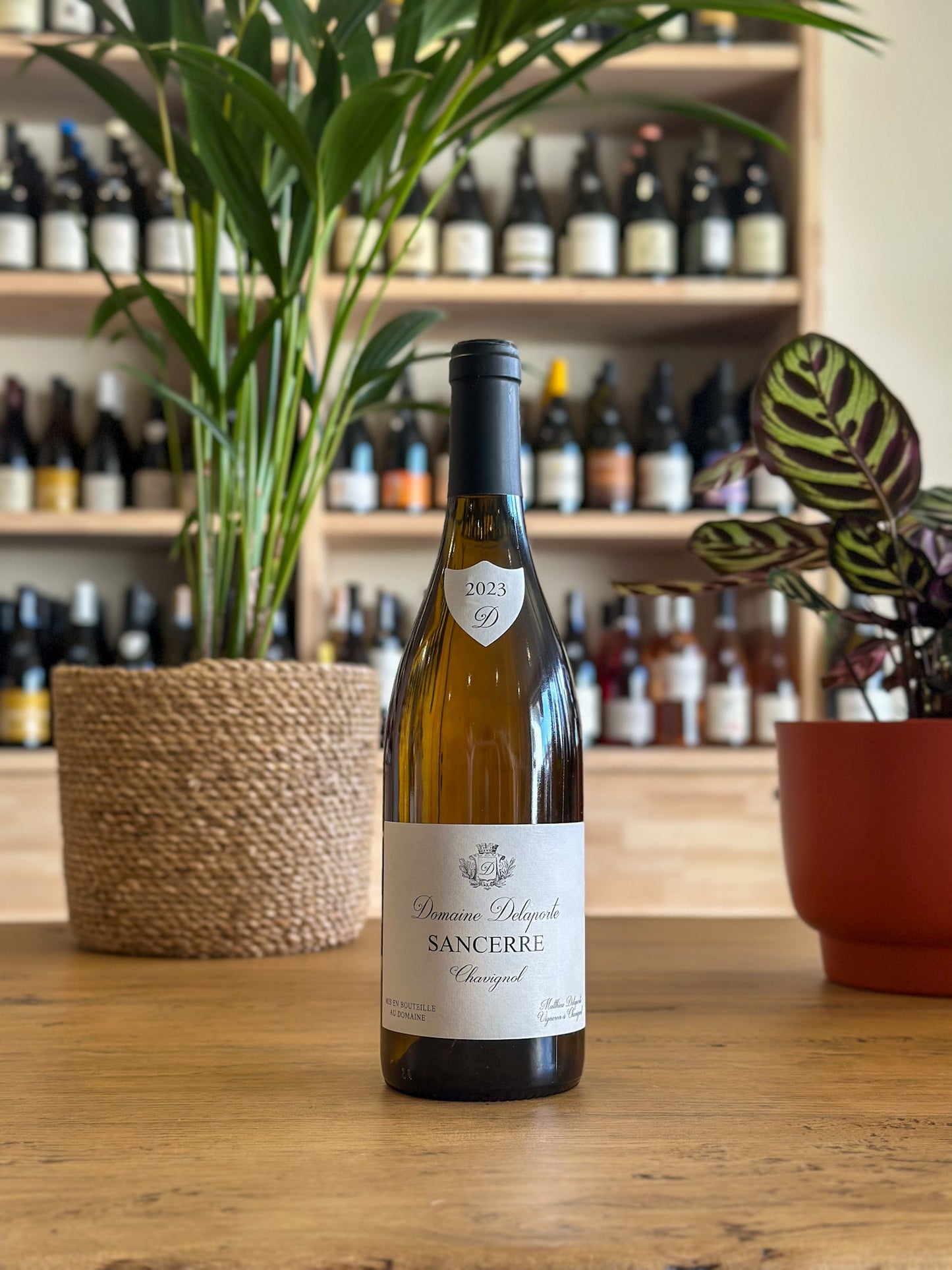 Sancerre - Domaine Delaporte - Chavignol 2023