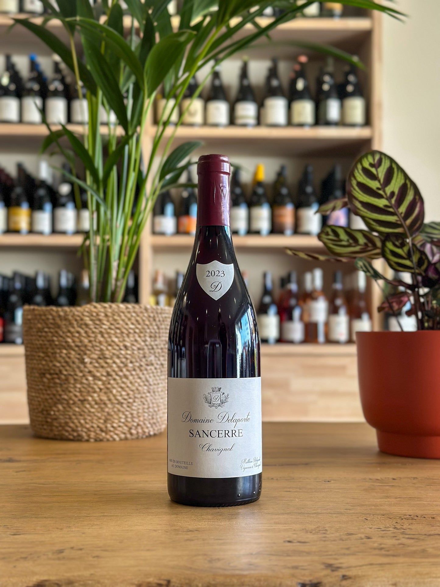 Sancerre - Domaine Delaporte - Chavignol 2023