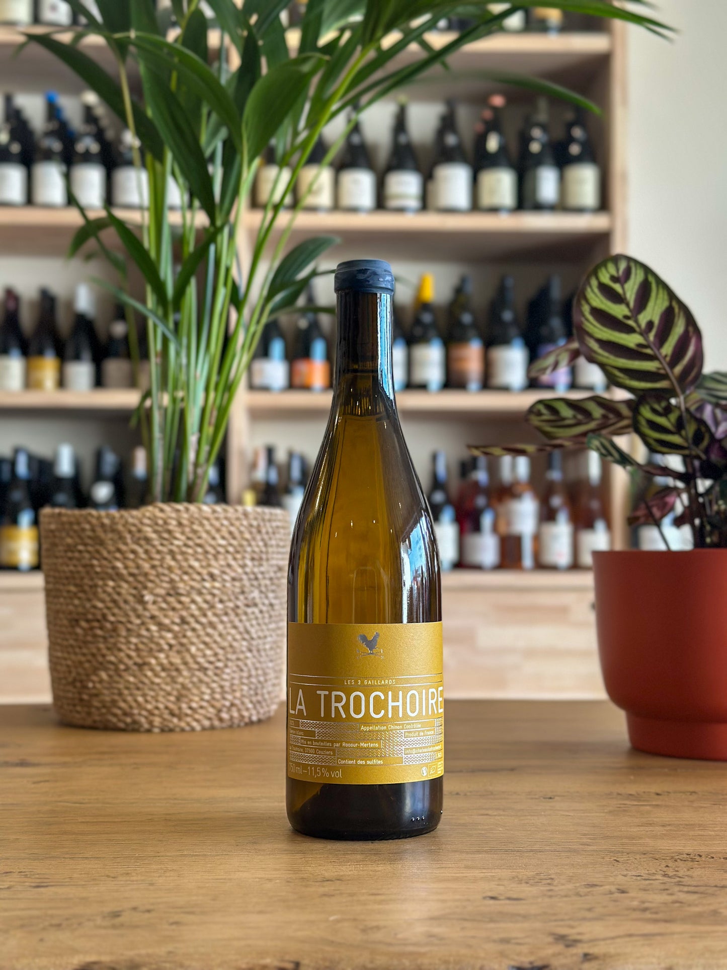 Chinon - La Trochoire - Les 3 Gaillards 2023