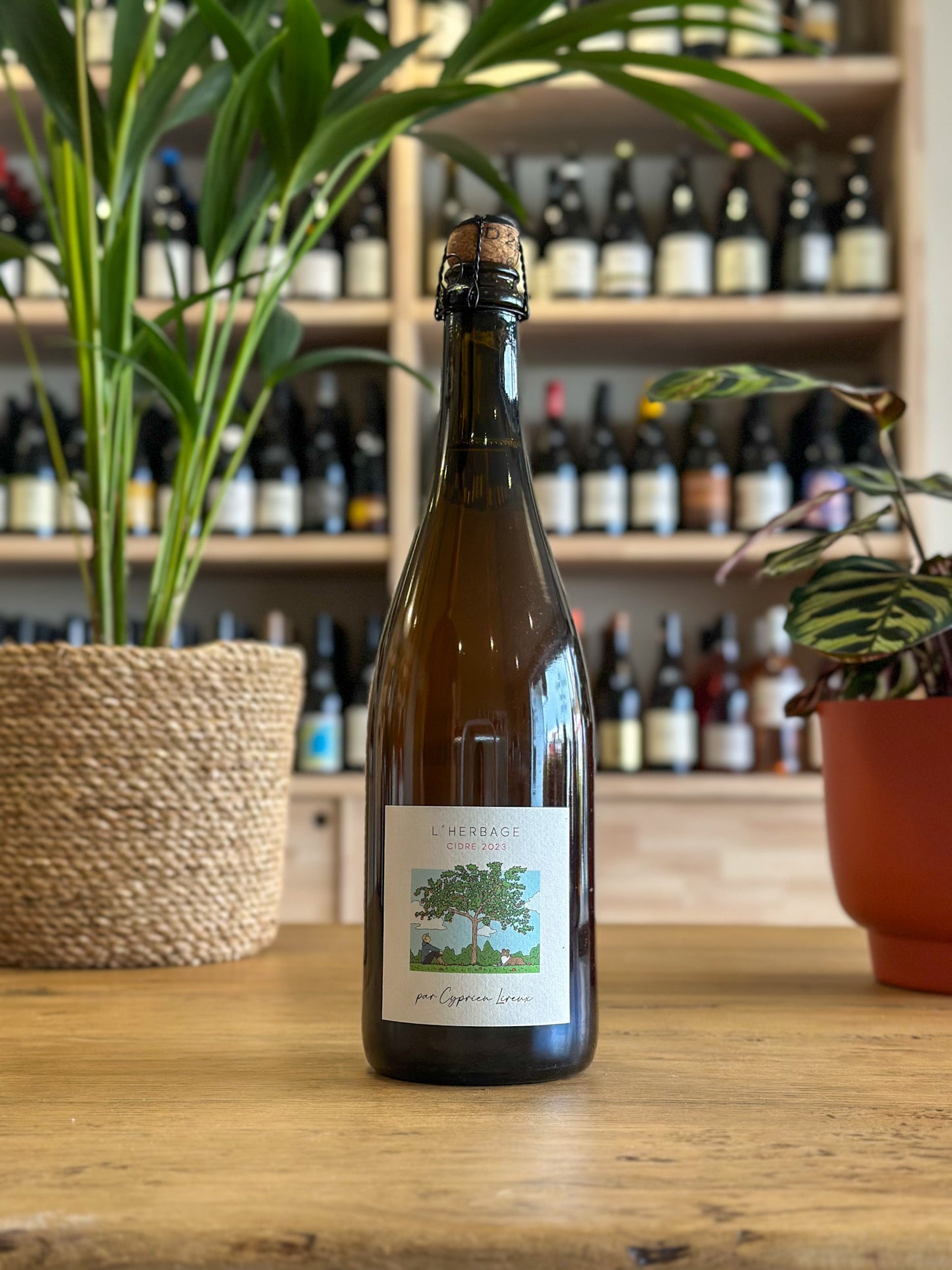Cidre demi-sec - Herbage 2023 - Cyprien Lireux