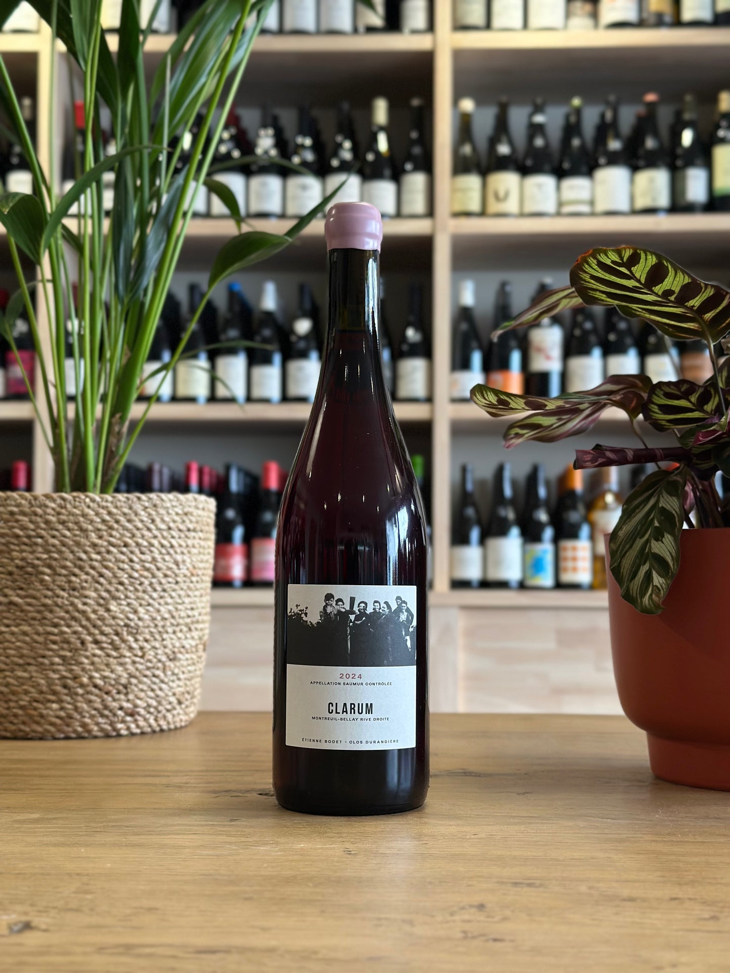 Saumur - Clos Durandière - Clarum 2024