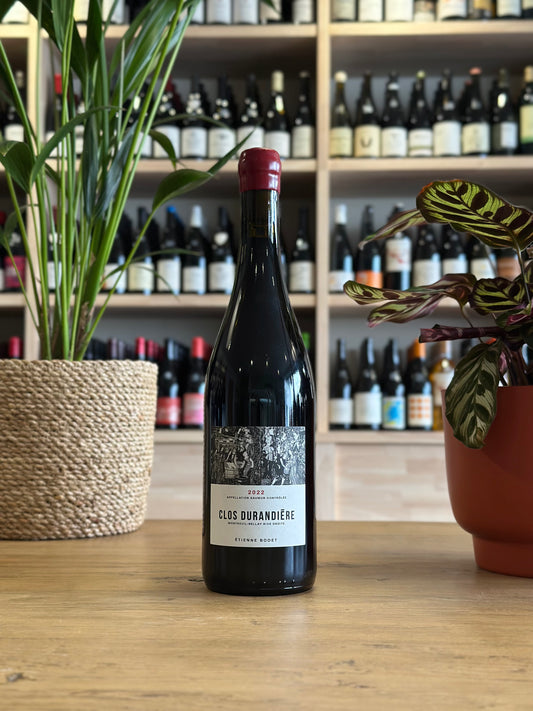 Saumur - Clos Durandière - Clos Durandière 2022