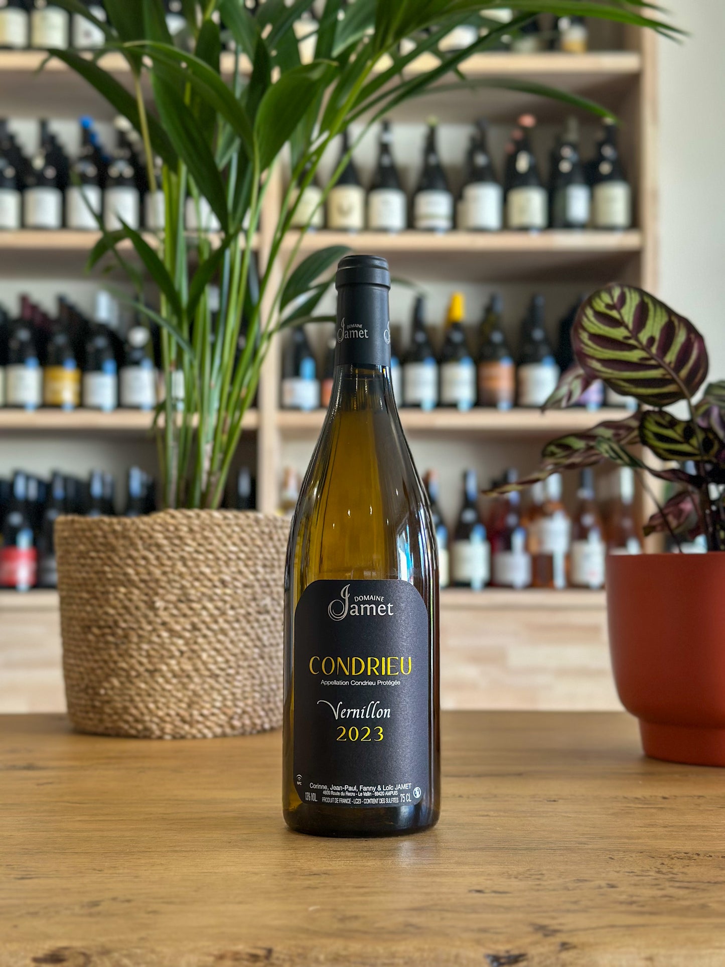 Condrieu - Domaine Jamet - Vérnillon 2023