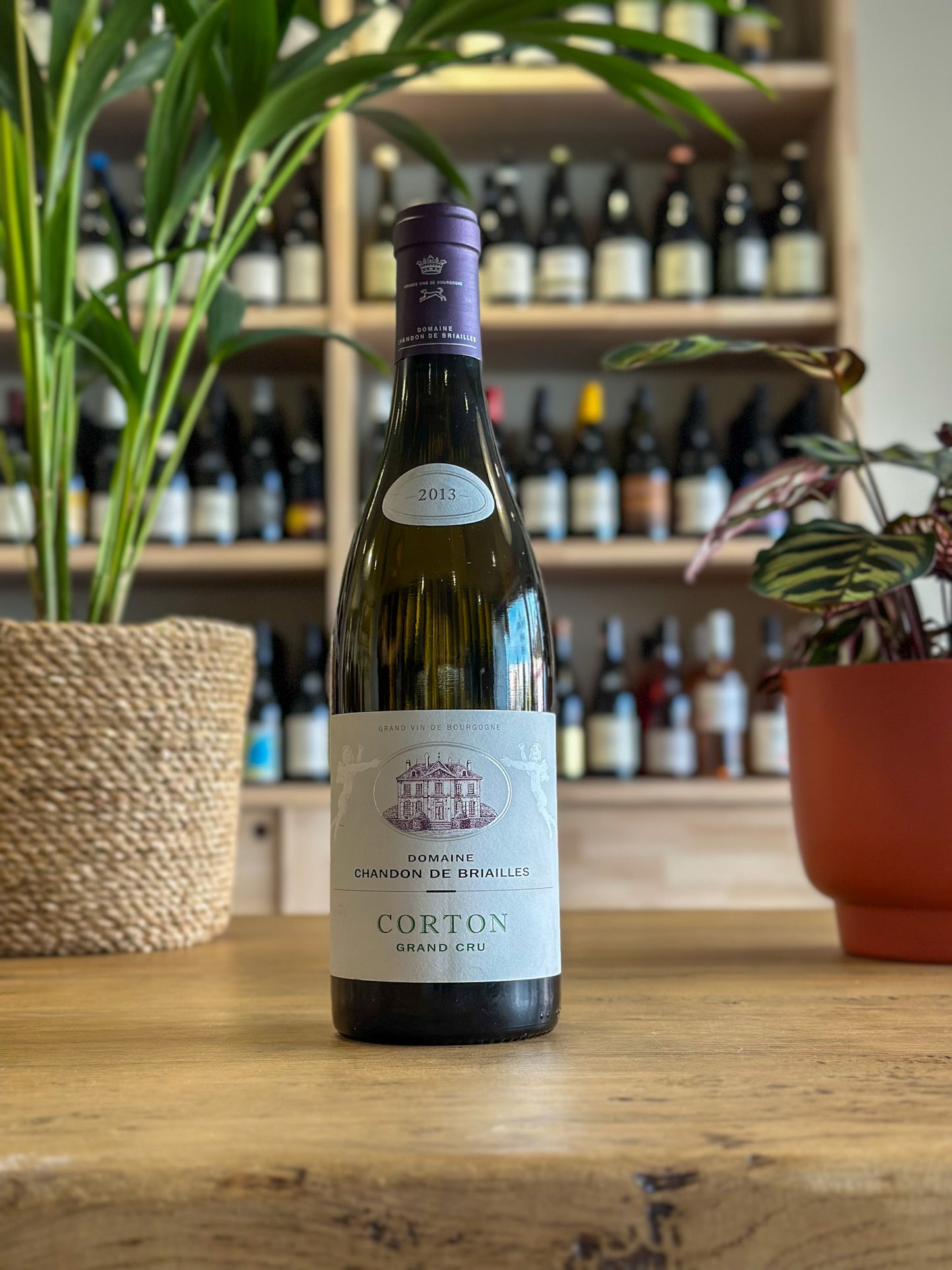 Corton Grand Cru - Chandon de Briailles 2013