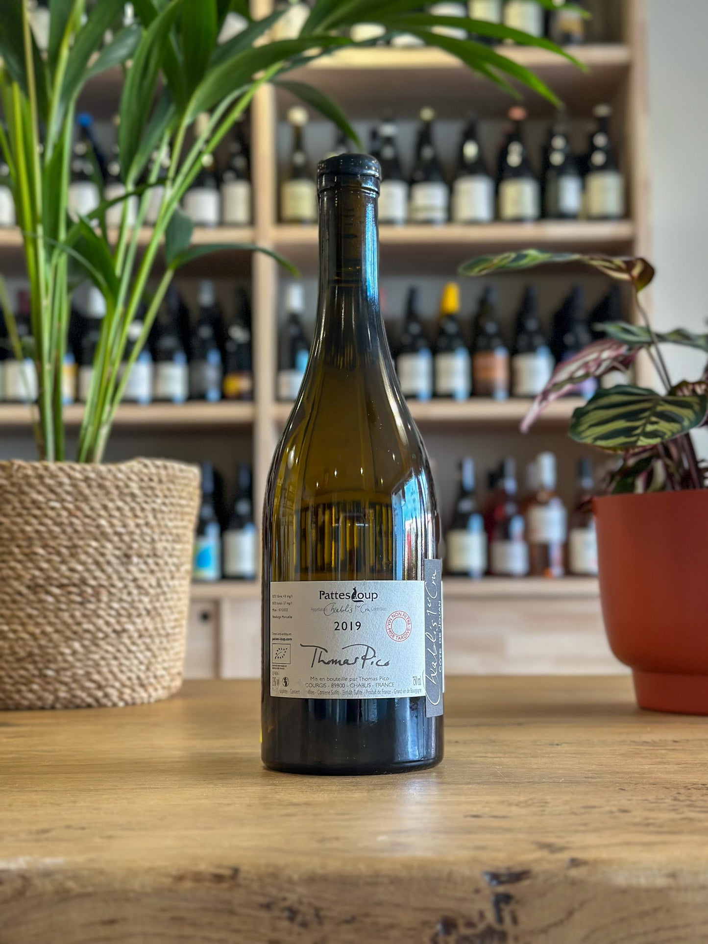 Chablis 1er Cru - Domaine Pattes Loup - Côte de Jouan 2019