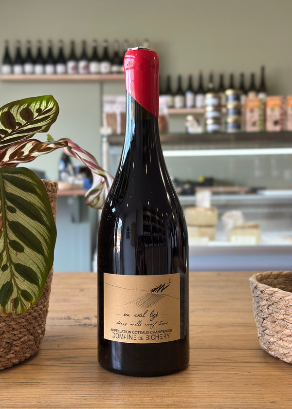 Coteaux Champenois "En Val Ligé" 2023