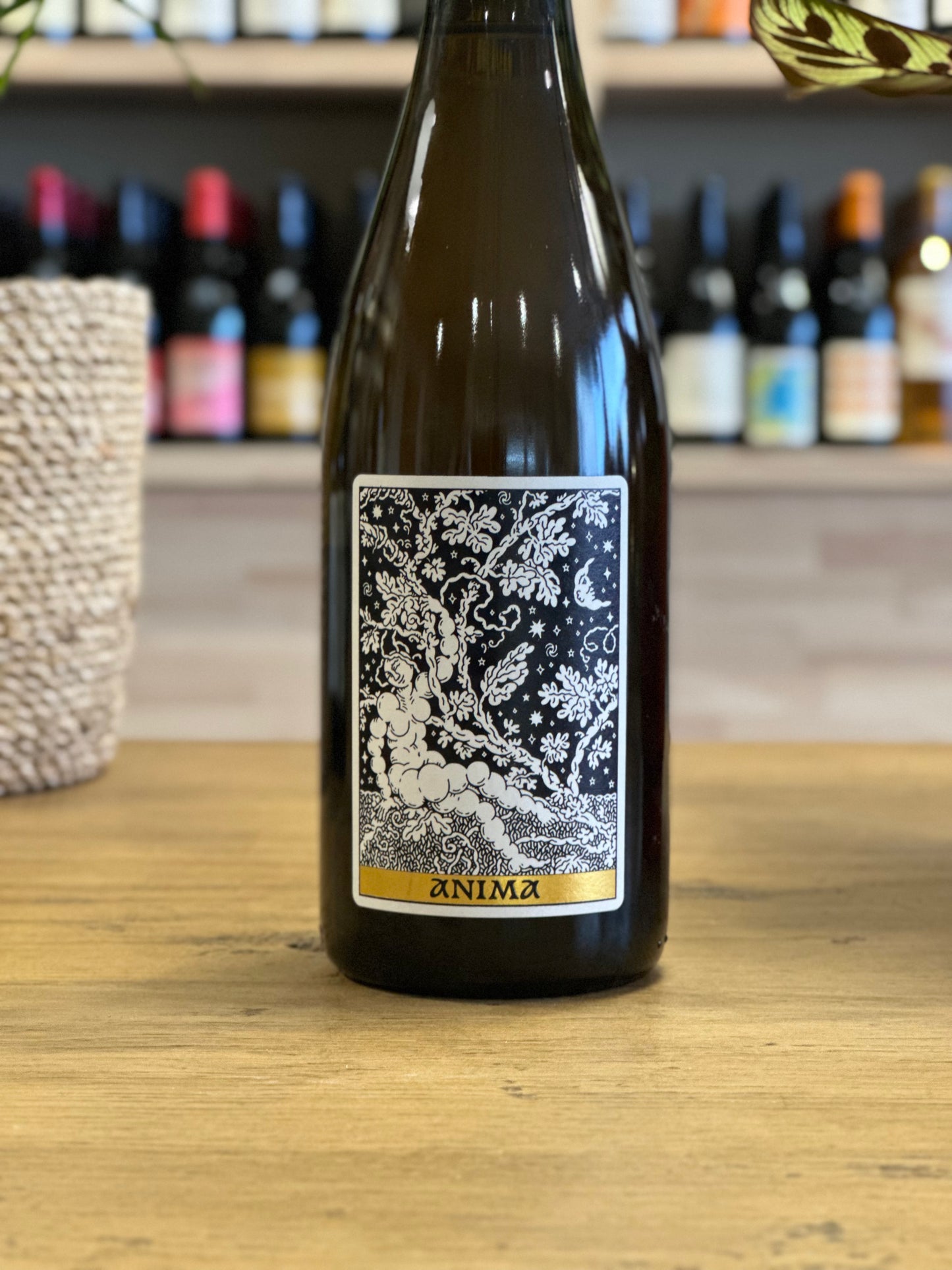 Pétillant Naturel - Domaine Frédéric Mabileau - Anima 2023