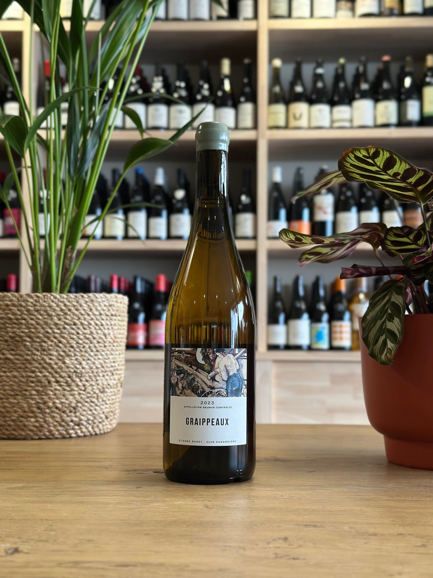 Saumur - Clos Durandière - Graippeaux 2023