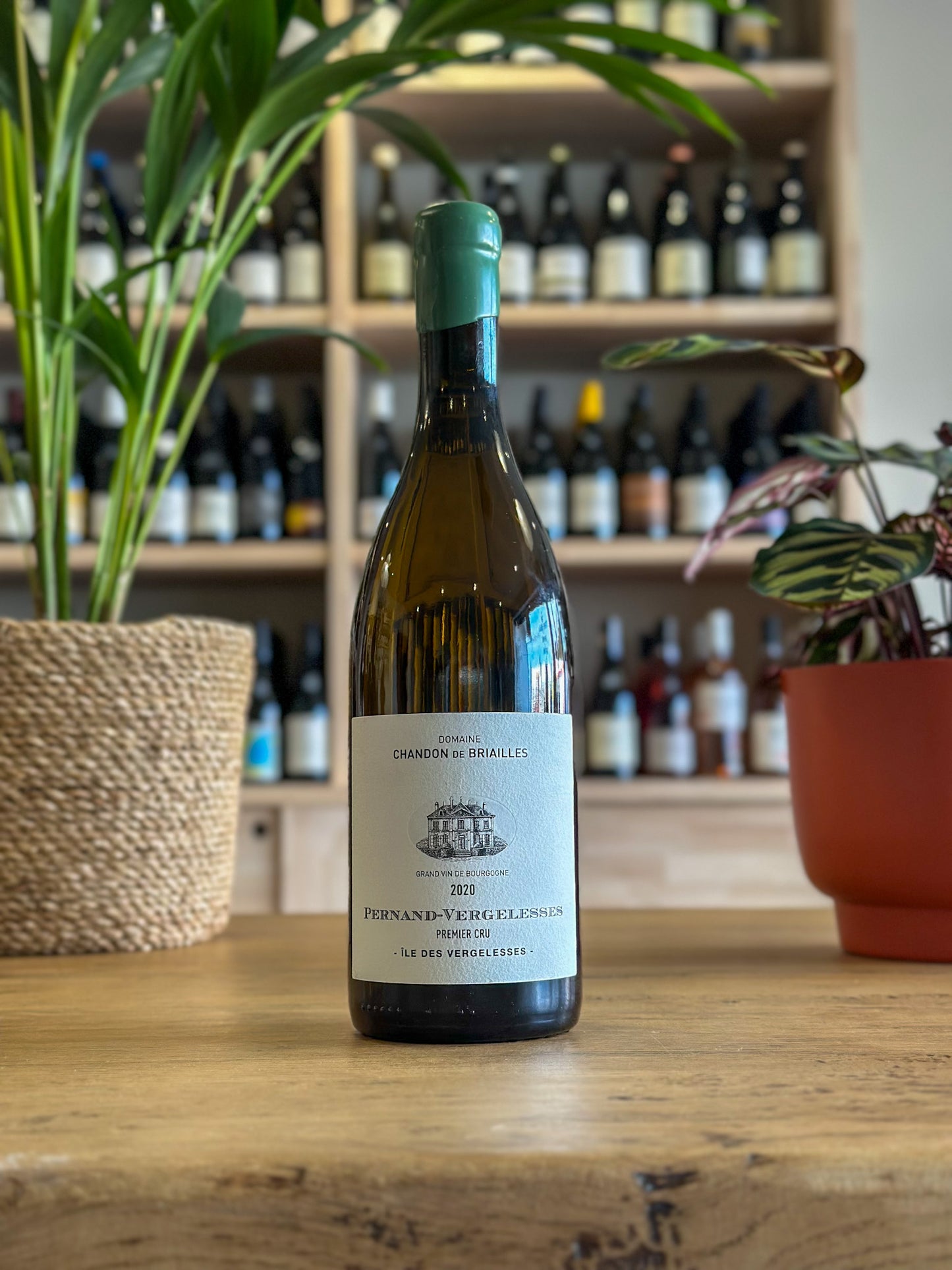 Pernand-Vergelesses 1er Cru - Chandon de Briailles - Île des Vergelesses