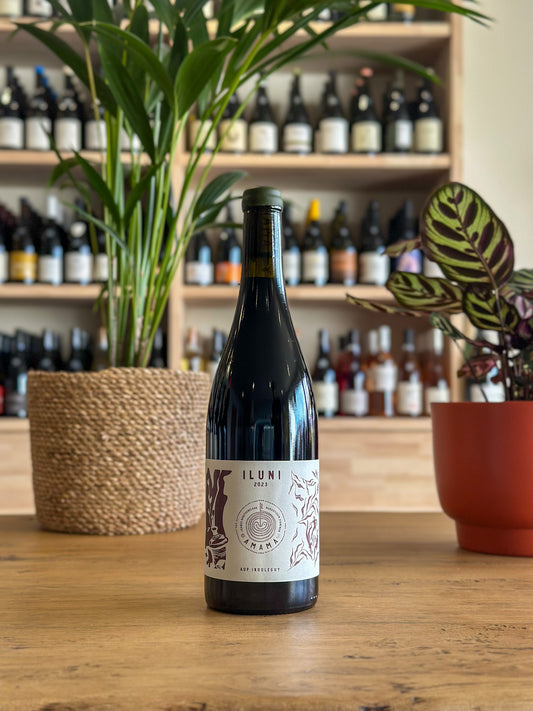 Irouleguy - Domaine Amama - Iluni 2023