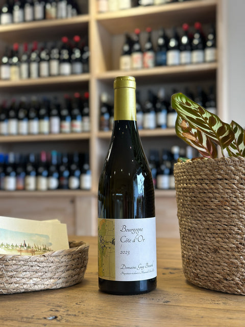 Bourgogne Côte d'Or 2023