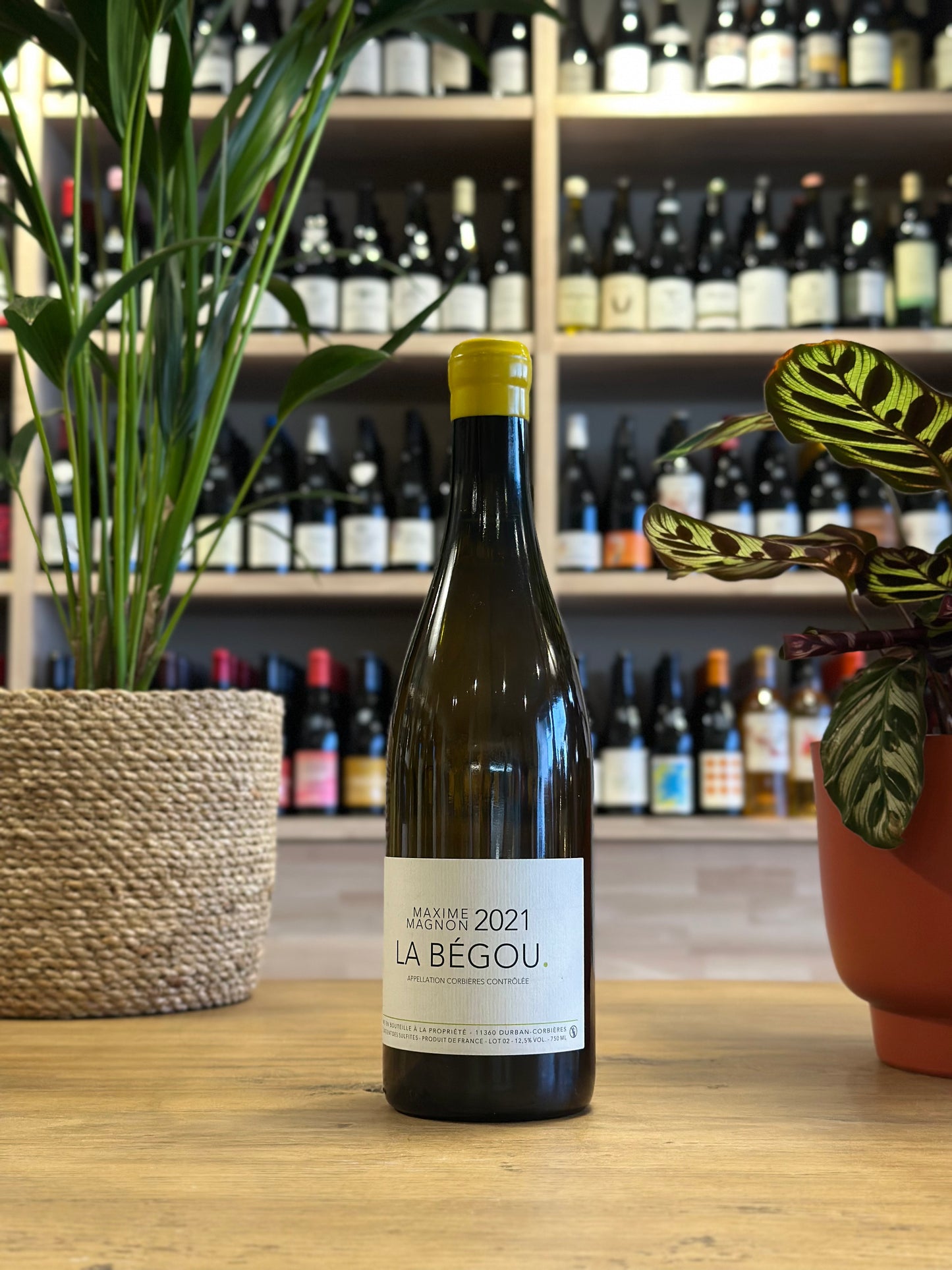 Corbières - Domaine Maxime Magnon - La Bégou 2021