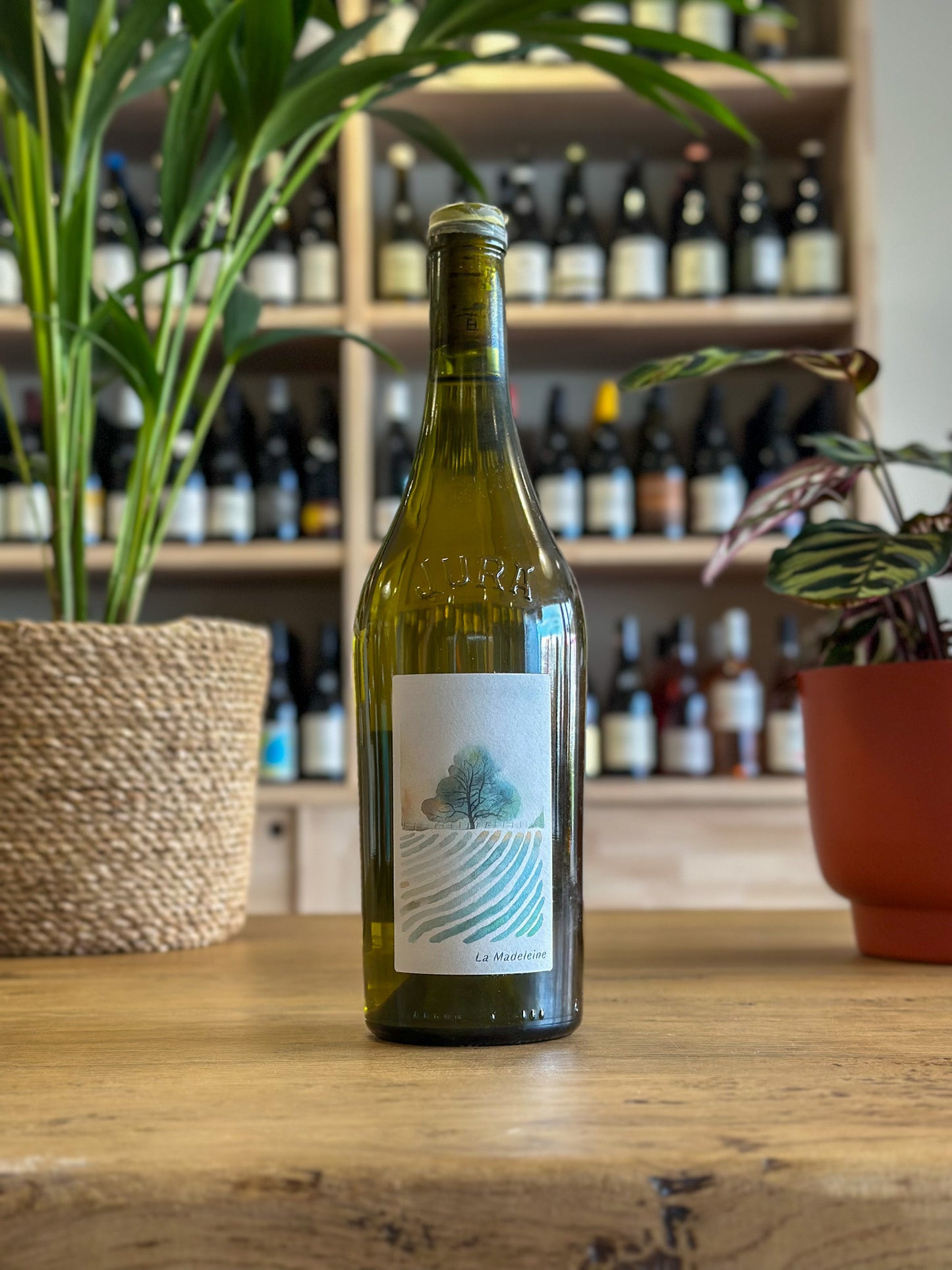 Côtes du Jura - Maison des Saules - La Madeleine 2022