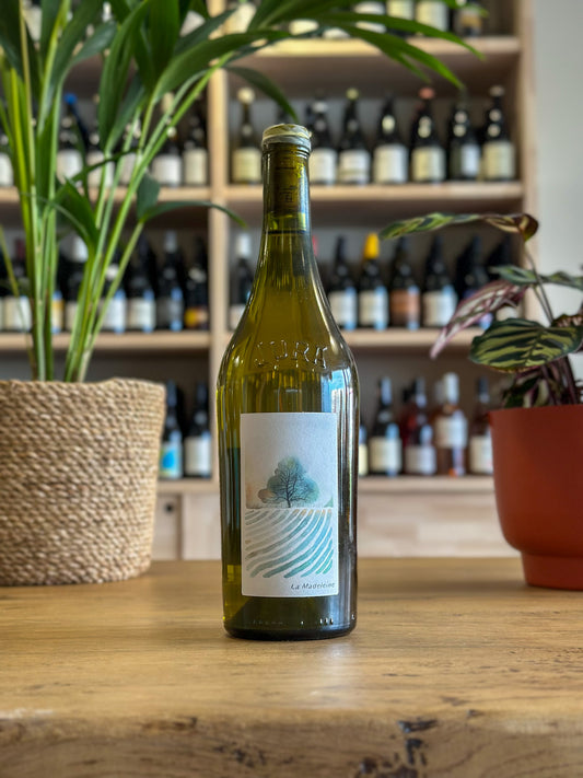 Côtes du Jura - Maison des Saules - La Madeleine 2022