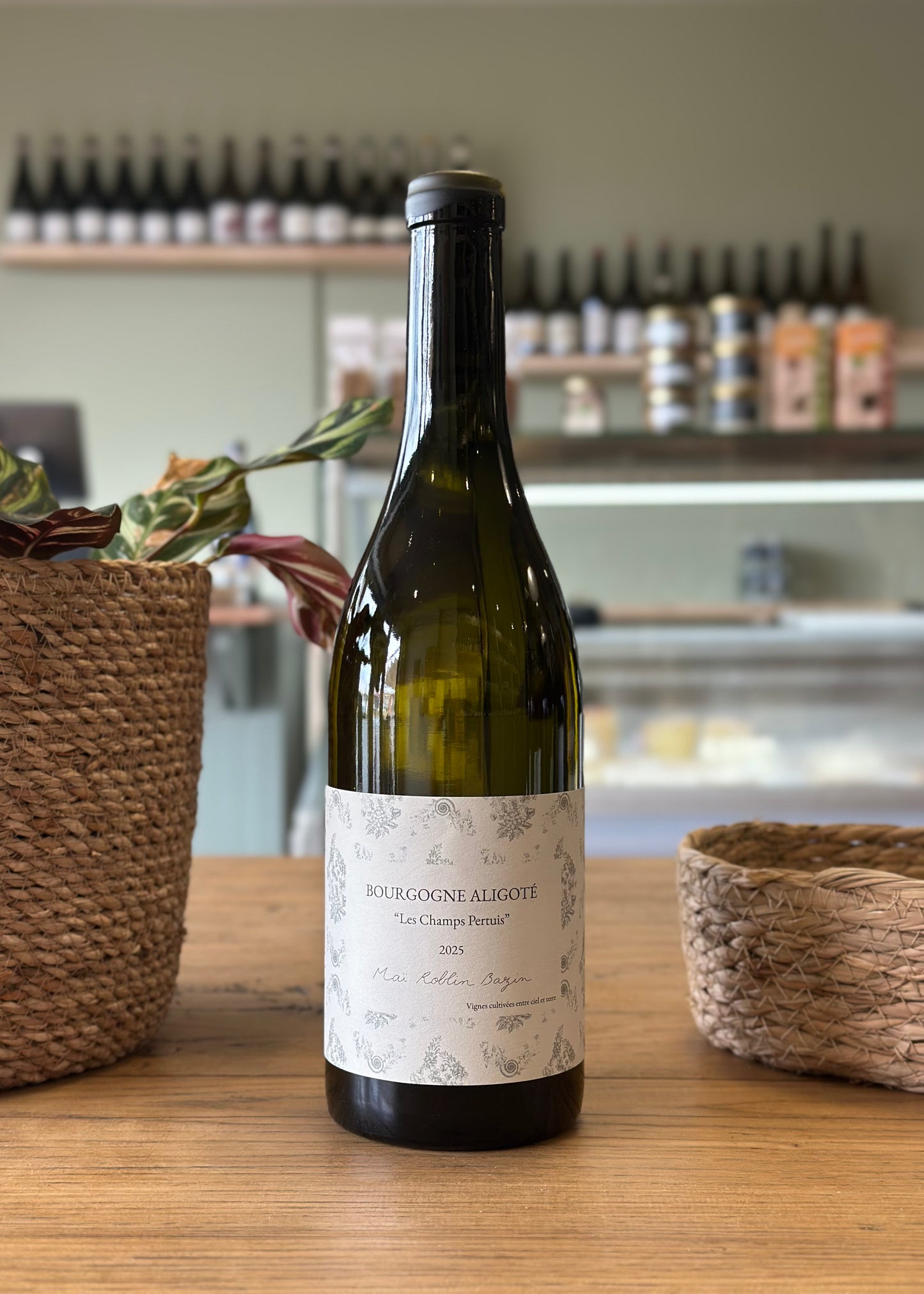 Bourgogne Hautes Côtes de Beaune "Les Grands Vignes" 2025