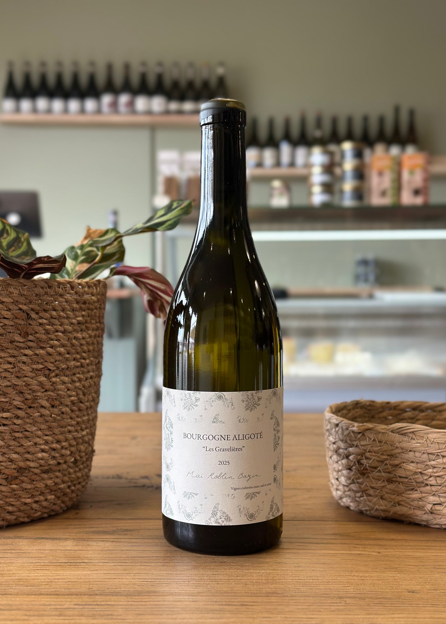 Bourgogne Aligoté "Les Gravelières" 2025